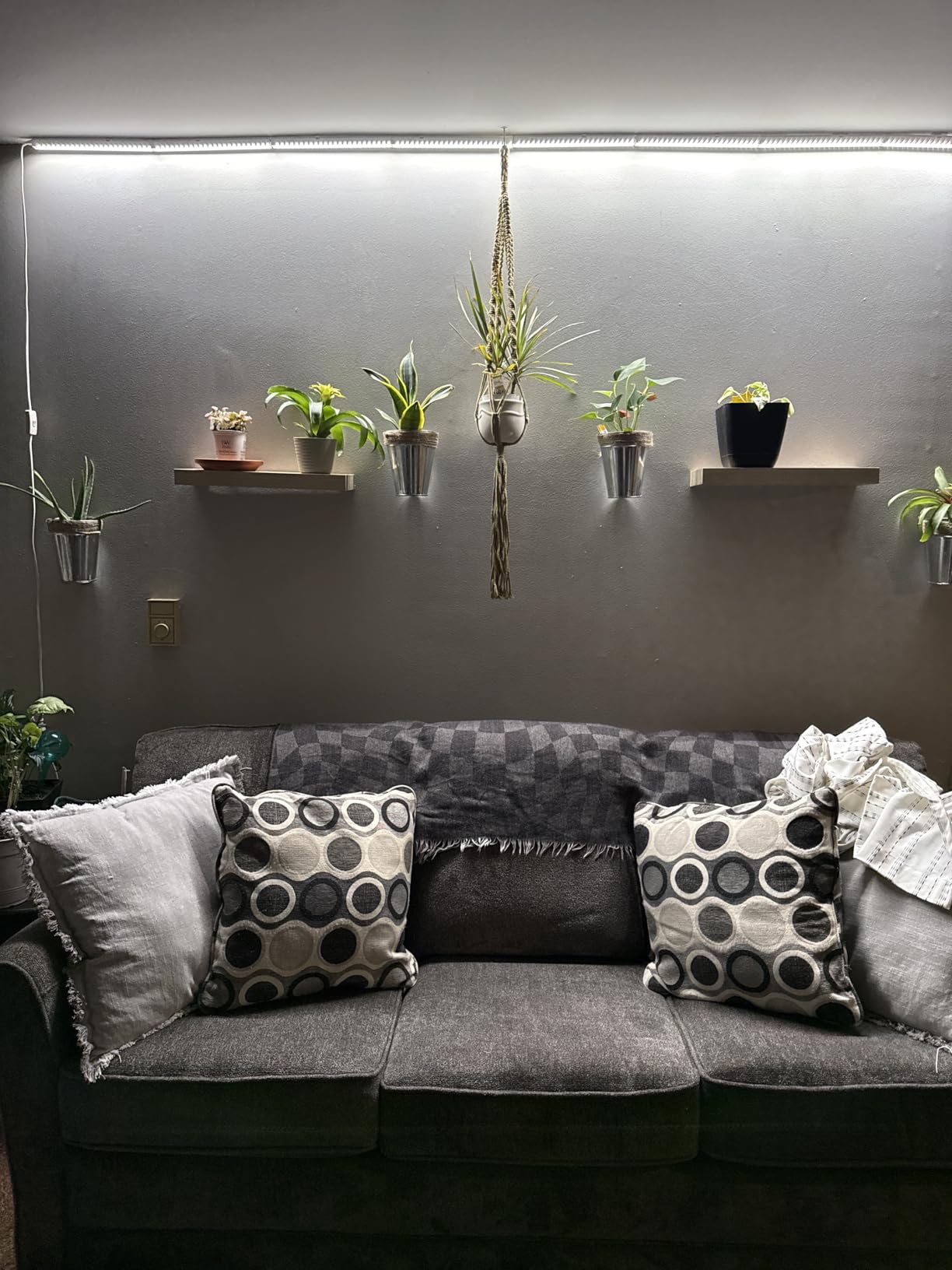 Barrina T5 Grow Lights for Indoor Plants, Full Spectrum, 1ft 5000K, 4 Packs customer photo 1