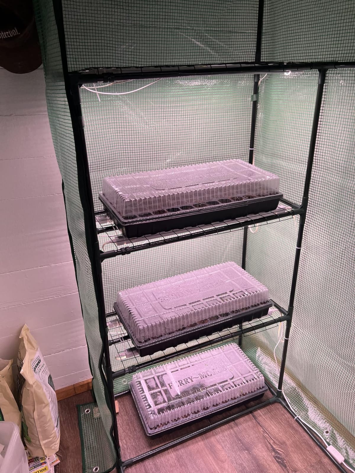 Barrina T5 Grow Lights for Indoor Plants, Full Spectrum, 1ft 5000K, 4 Packs customer photo 2