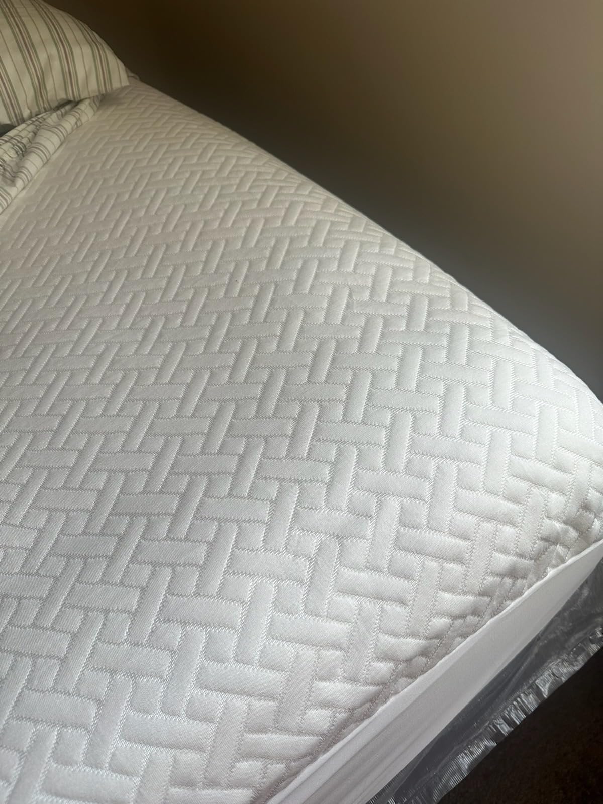 Queen Waterproof Mattress Protector, Premium Viscose from Bamboo Mattress Pad Ultra Soft Breathable, Noiseless Mattress Cover Fitted 8