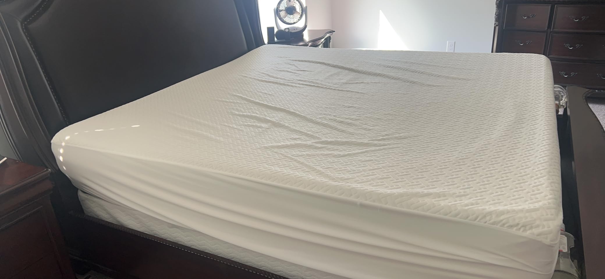 Queen Waterproof Mattress Protector, Premium Viscose from Bamboo Mattress Pad Ultra Soft Breathable, Noiseless Mattress Cover Fitted 8