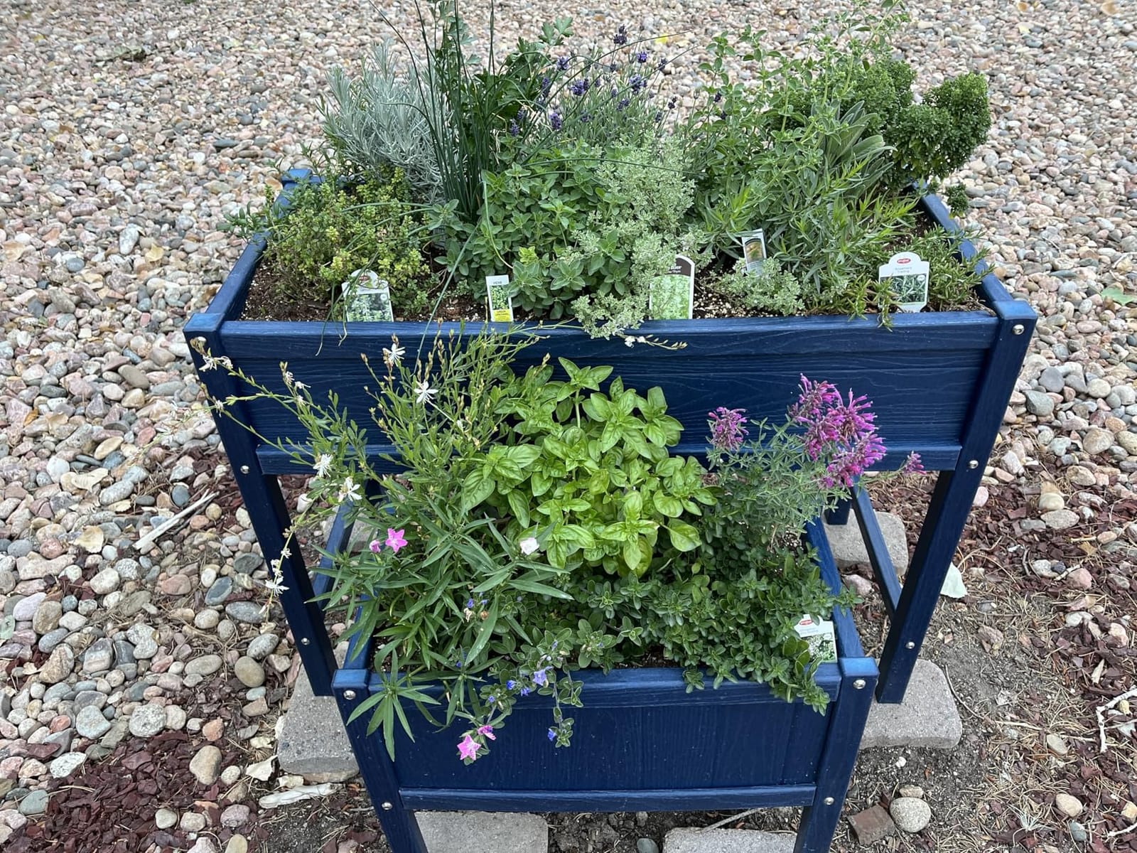 Raised Garden Bed with Drainage Hole Waterproof Small HDPE Elevated Planter Box with Legs Stable and Durable to Plant Herb Vegetable Flower,Patio,Balcony Outdoors/Indoors Navy customer photo 1