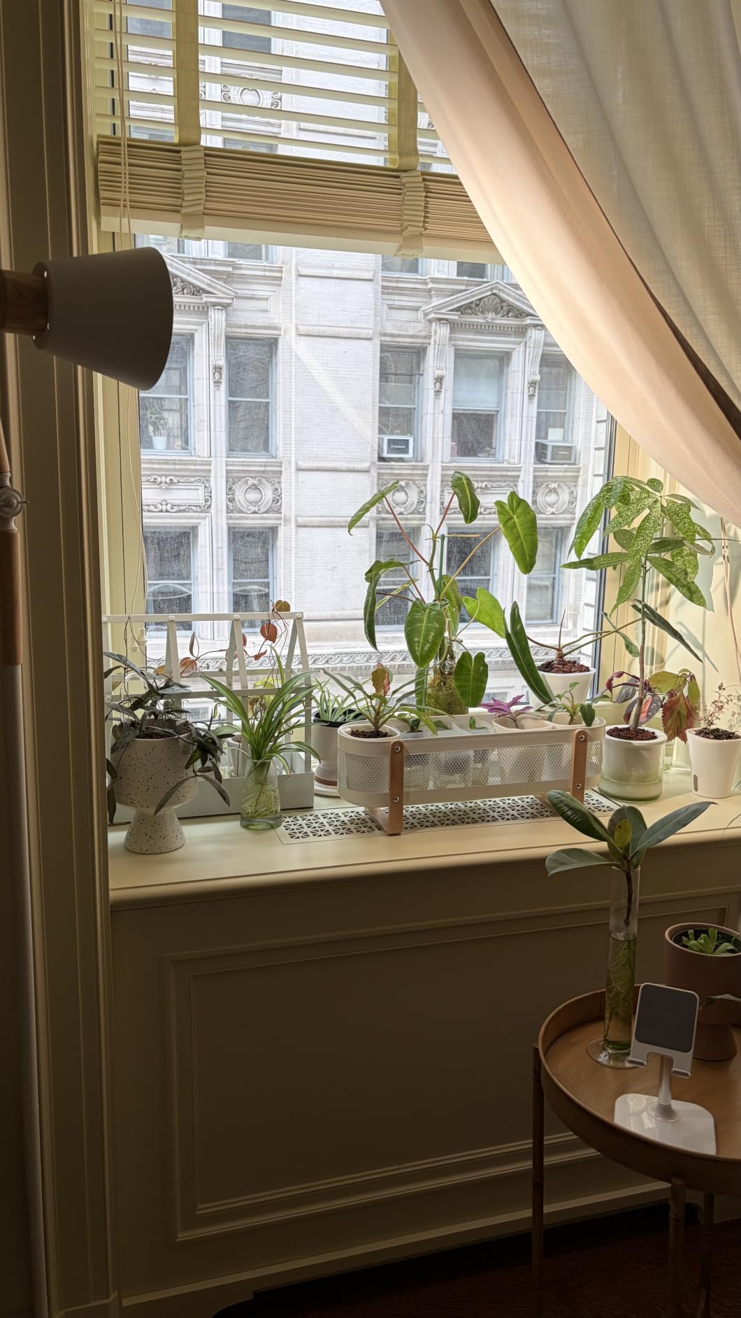 HMVPL Grow Lights for Indoor Plants Full Spectrum, Plant Lights for Indoor Growing with 20W COB Grow Light Blub, 4/8/12H Timer, Standing Tall Grow Lamp for Middle Large Plants(75'', Height Adjustable) customer photo 2