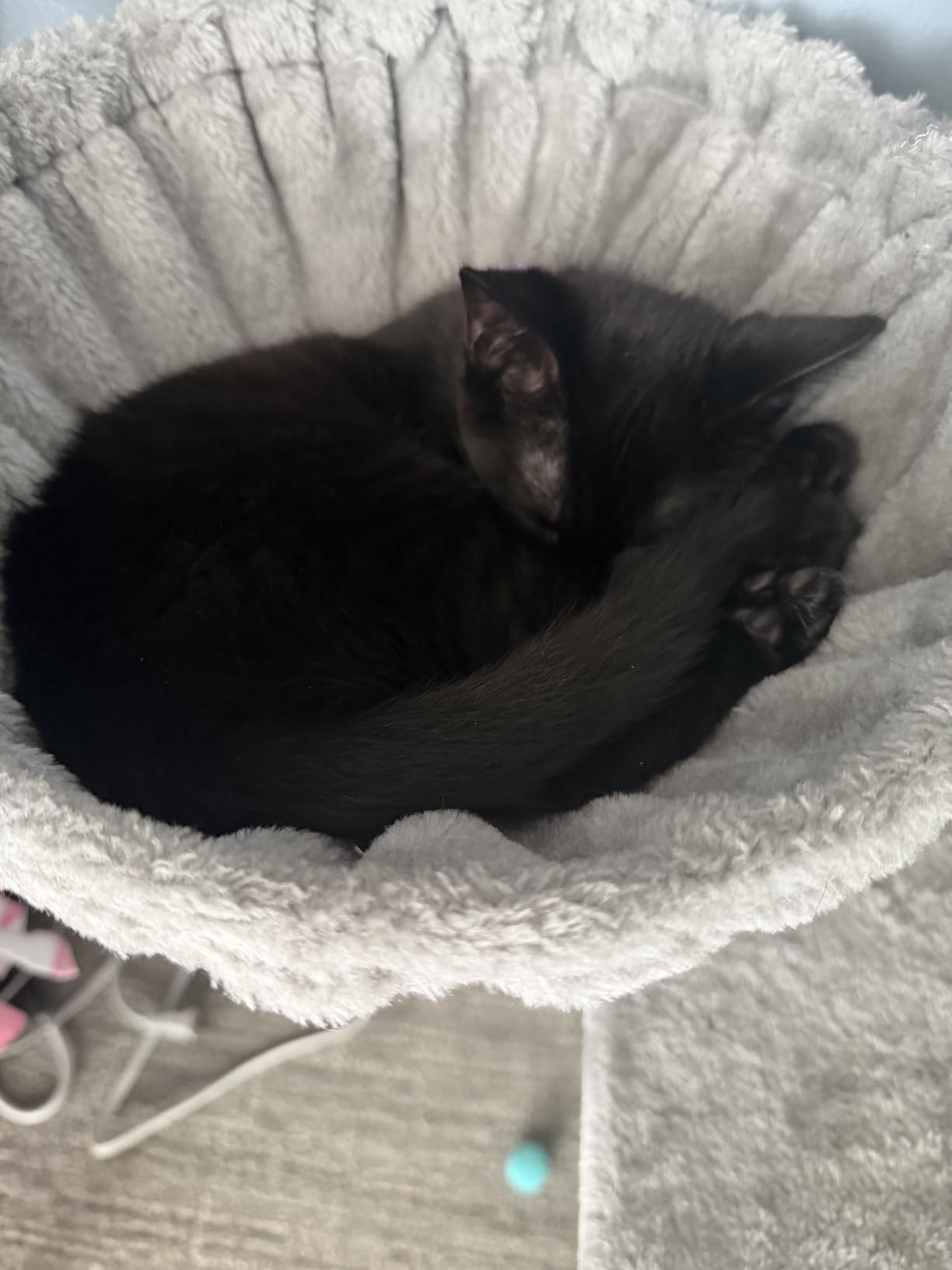 Taoqimiao Cat Tree, 38.5In Cat Tower for Indoor Cats, Suitable for Kittens customer photo 1