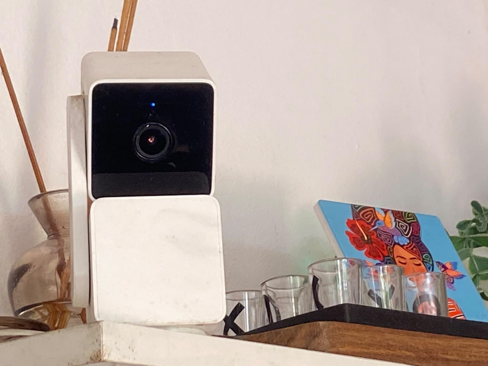 WYZE Cam Pan v3, Indoor/Outdoor Security Camera with 360° Pan/Tilt/Zoom customer photo 2