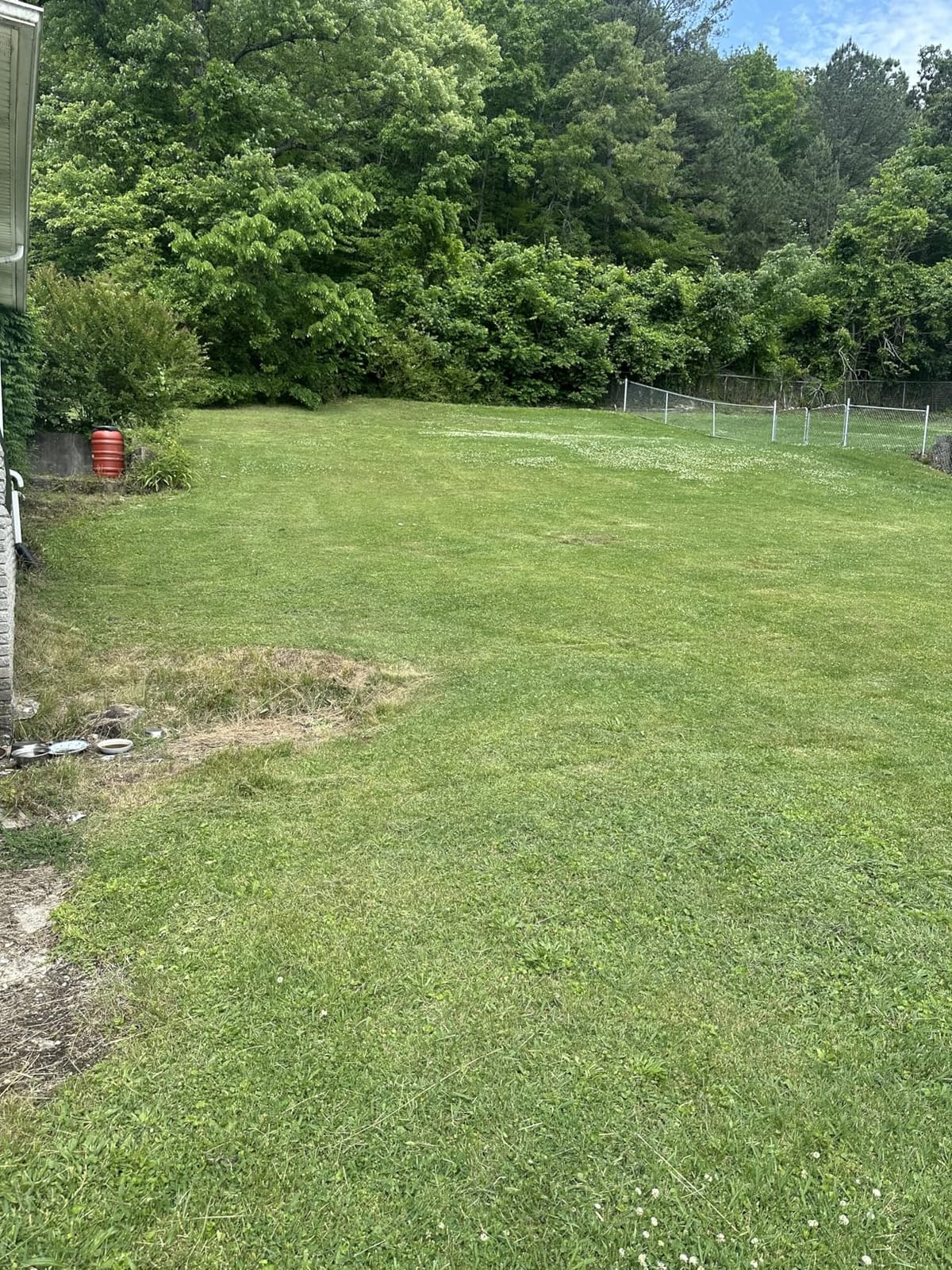 EGO Power+ Electric Lawn Mower, Cordless Push, Includes 56V 4.0Ah Battery and Charger - LM2112 customer photo 1