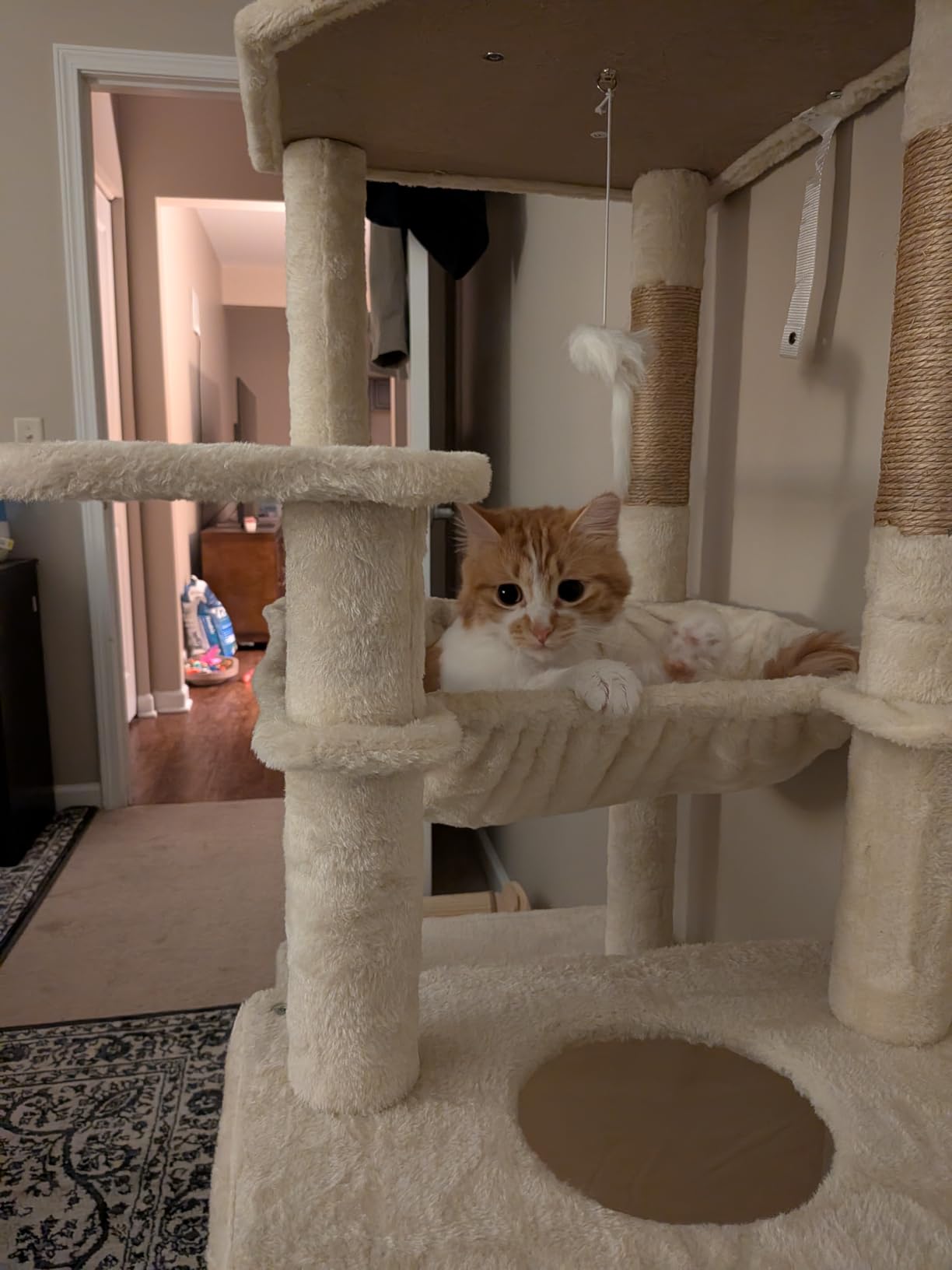 Globlazer F70 Pro Heavy Duty Cat Tree Tower for Indoor Cats Large Adult customer photo 2