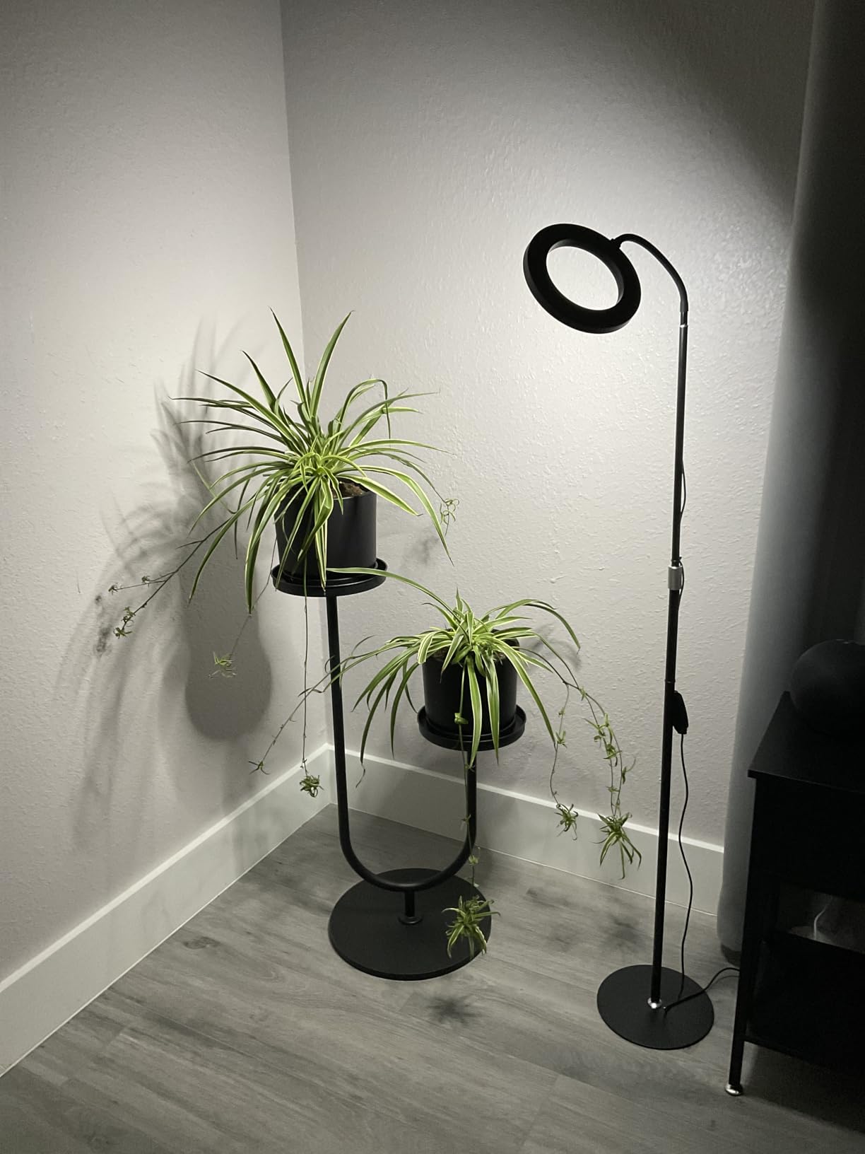 Garpsen Grow Lights for Indoor Plants, Full Spectrum with Stand, 80 LEDs customer photo 1