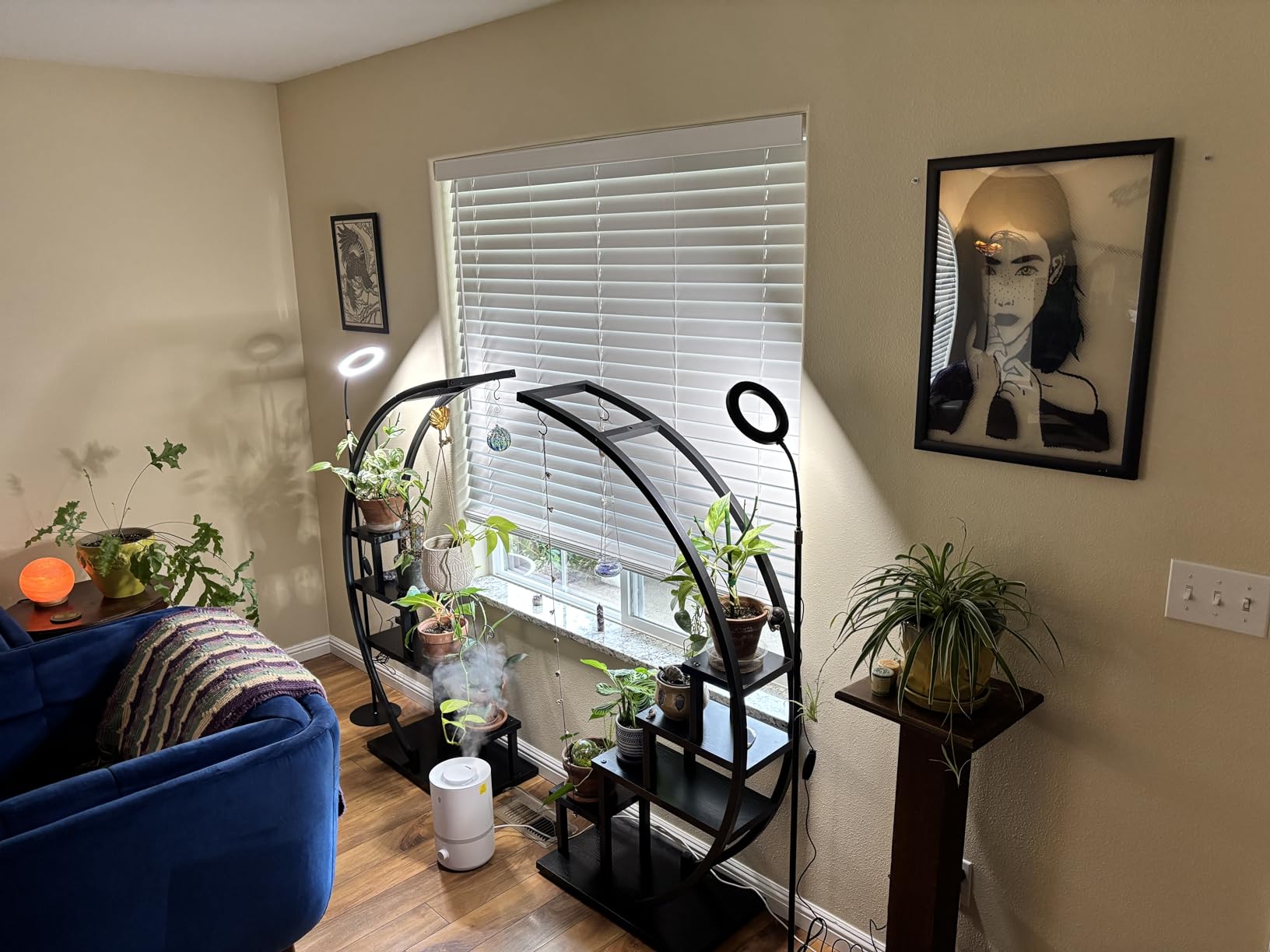 Garpsen Grow Lights for Indoor Plants, Full Spectrum with Stand, 80 LEDs customer photo 2