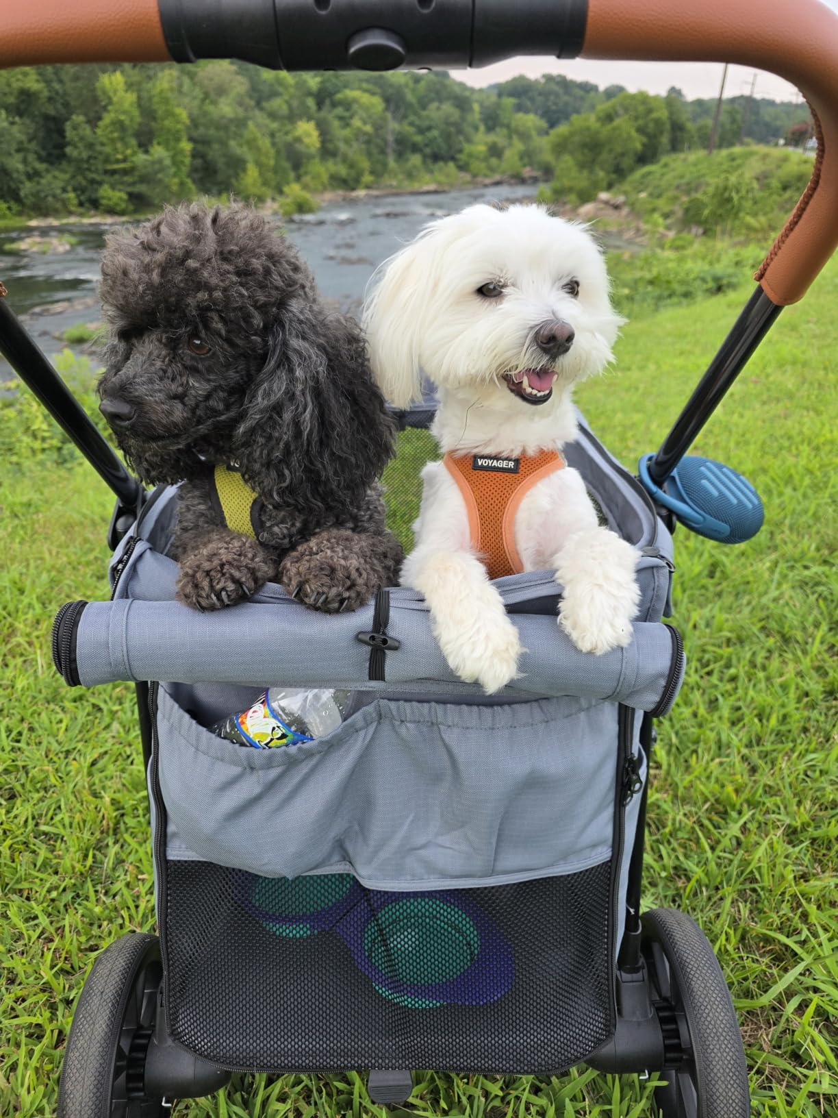 CANINE CANYON Scout Pet Stroller, Heavy Duty Dog Stroller for Large/Medium Dogs, Foldable Pet Stroller for 2 Small Dogs with All-Terrain Wheels, Storage Pocket & Cup Holder, 55 lbs Capacity, Navy Blue customer photo 1