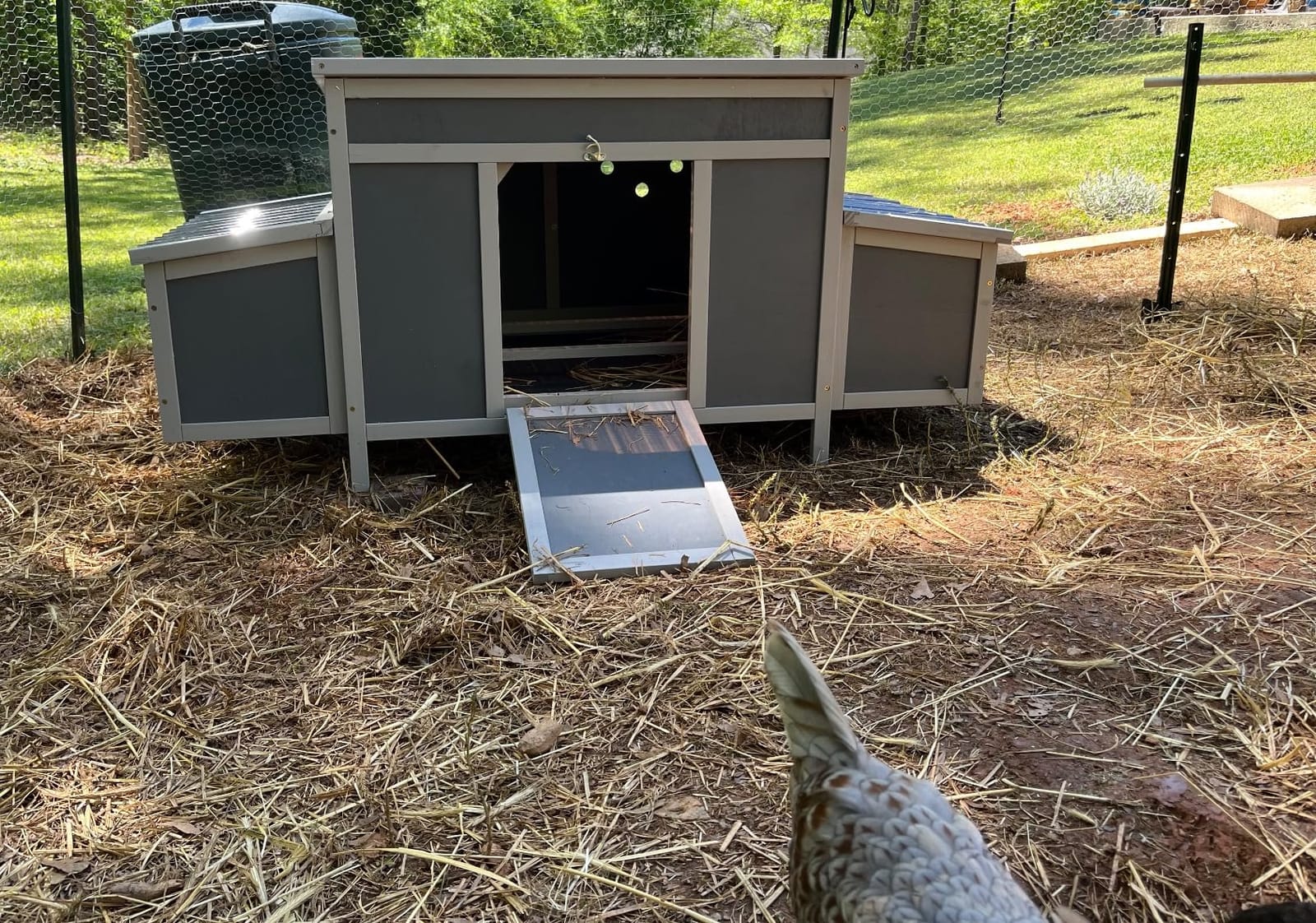 COZIWOW Chicken Coop with Nesting Boxes & Perches 59'' Large Poultry Hutch customer photo 2