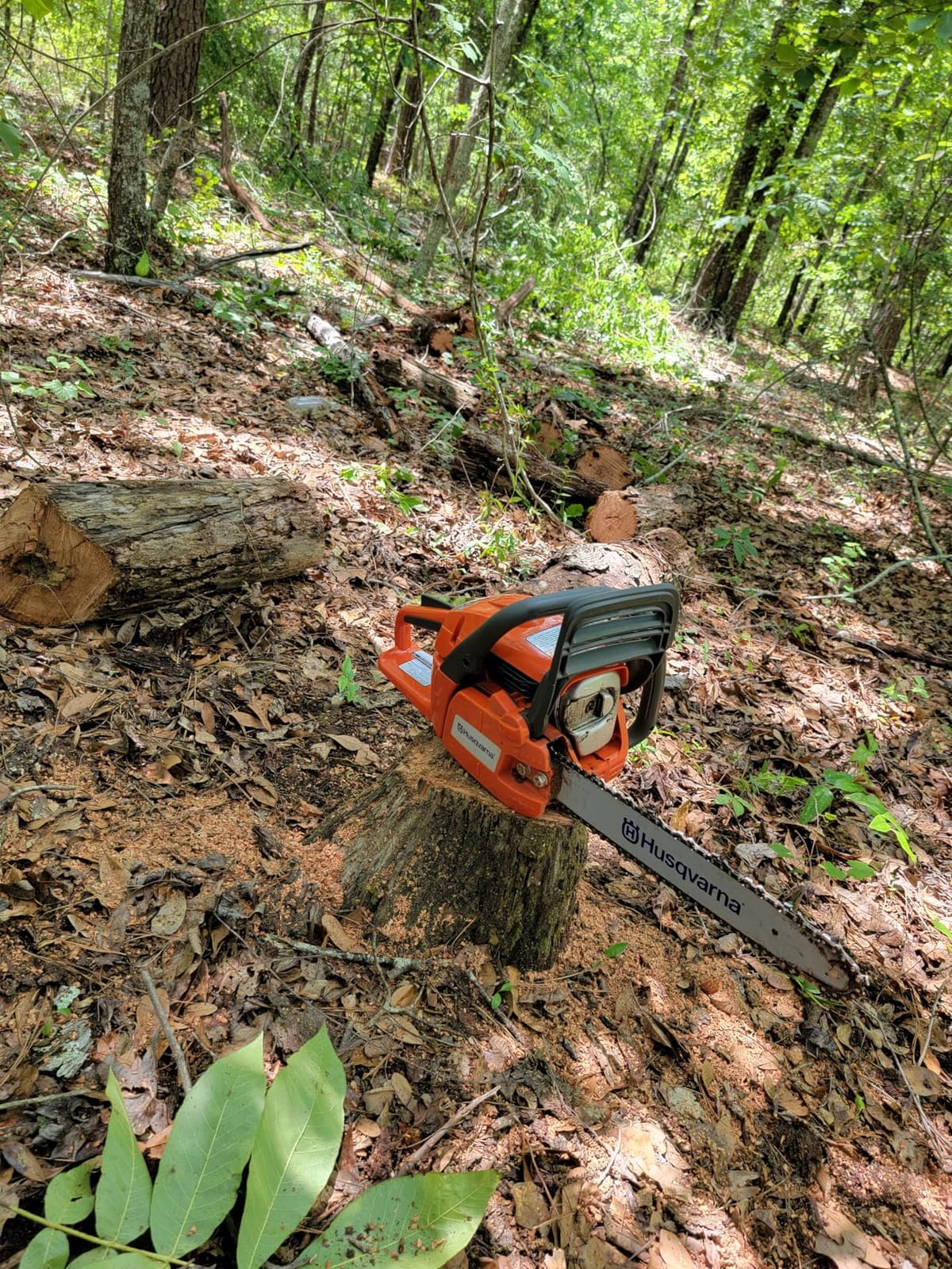 Husqvarna 120 Mark III Gas Chainsaw, 38-cc, 2-Cycle X-Torq Engine, 14 Inch Chainsaw with Automatic Oiler, For Wood Cutting and Tree Pruning, 970739614 customer photo 1