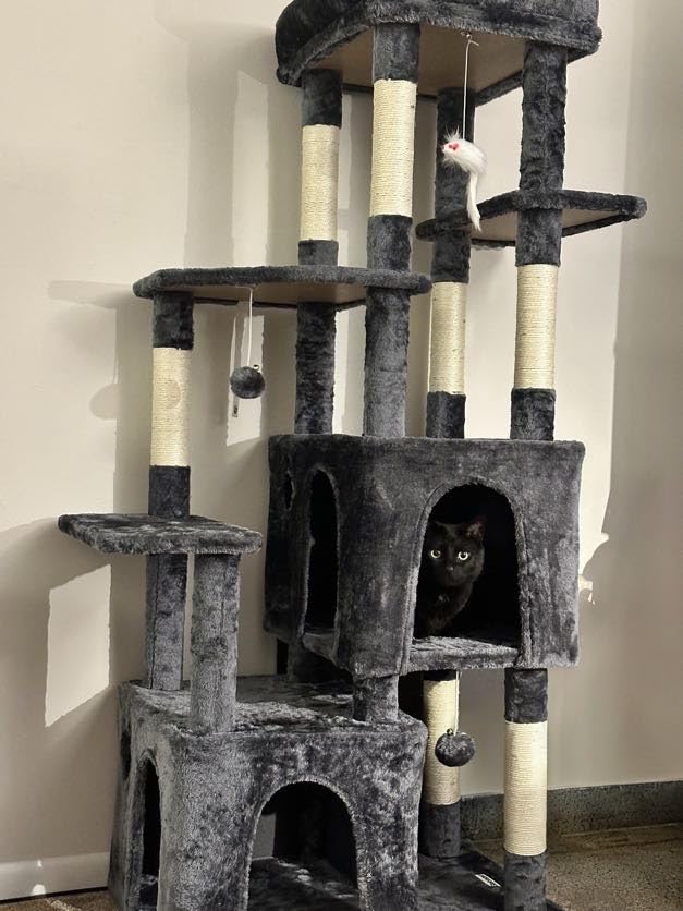 Globlazer Heavy Duty Cat Trees for Big Cats Maine Coon, F61, Dark Grey customer photo 2