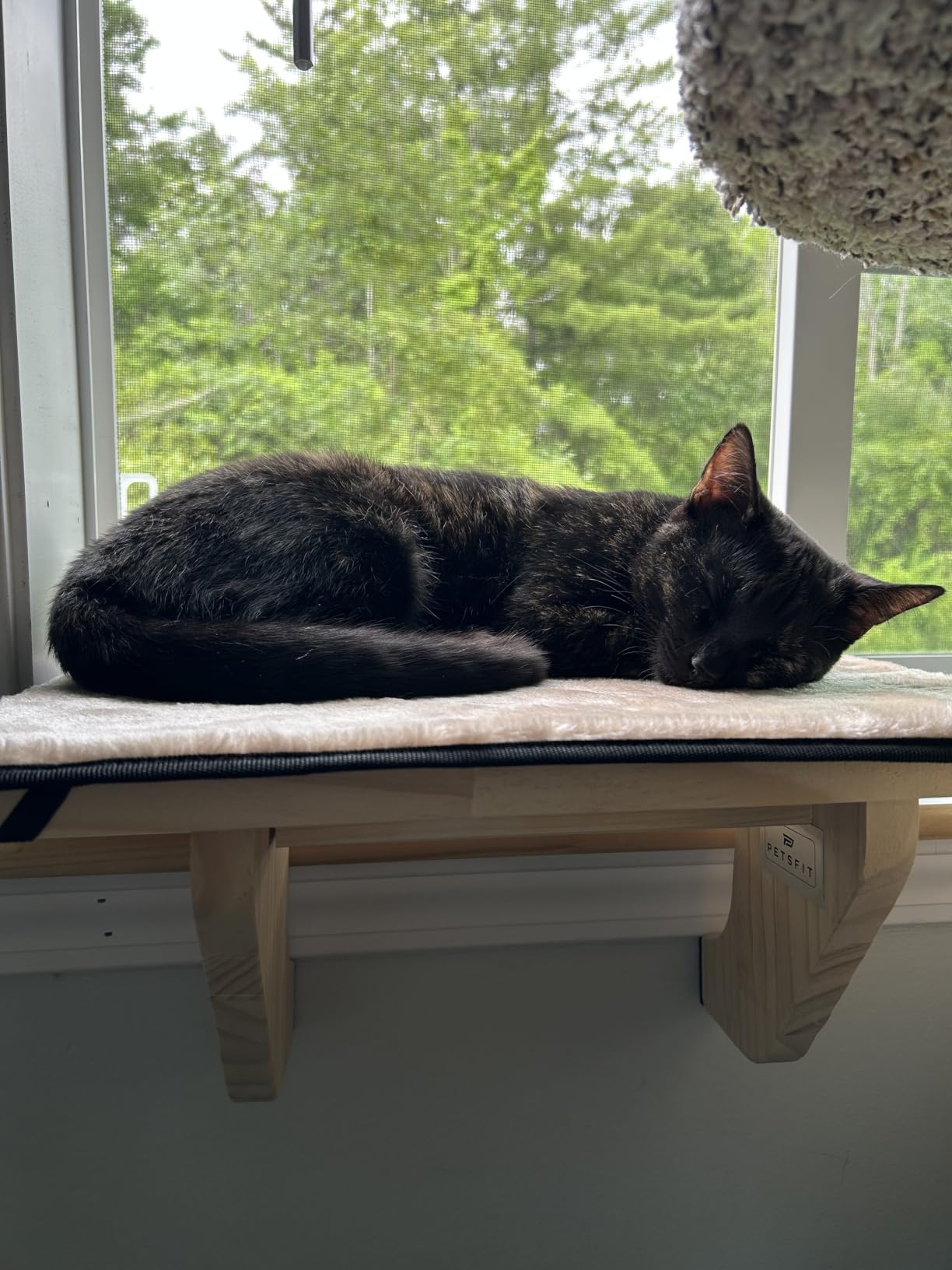 PETSFIT Cat Window Perch, Solid Wood, Fleece Mat, Windowsill Bedside Drawer customer photo 1