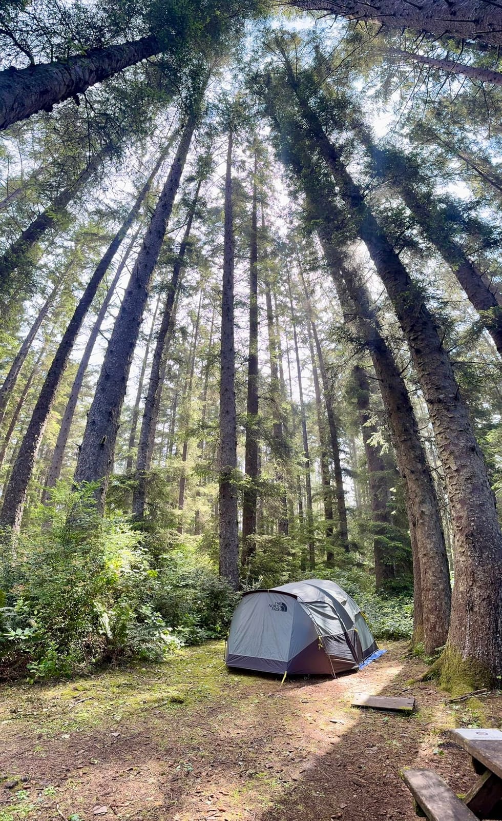 Tents Wawona 6 Tent | Six-Person Camping Tent, Water Repellent, Spacious & Easy to Set Up, Attached Vestibule Area customer photo 1