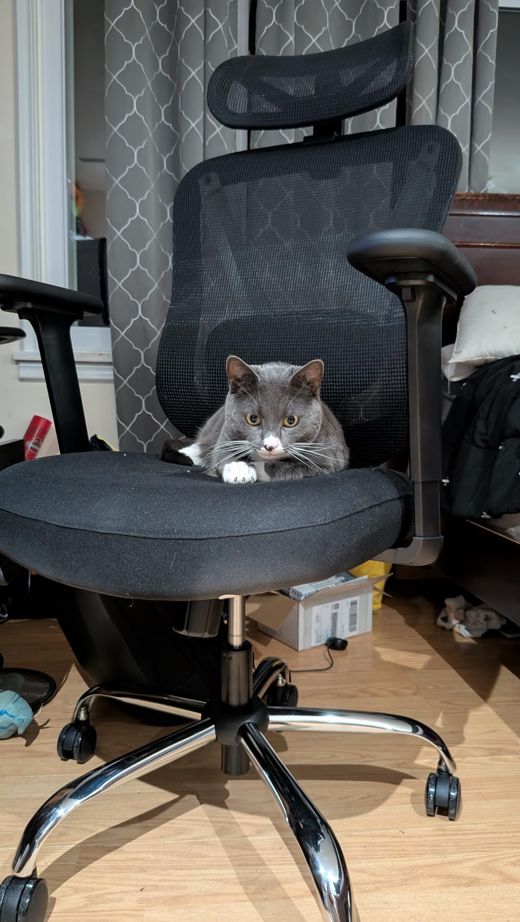 HOLLUDLE Ergonomic Mesh Office Chair - 3D Adjustable Lumbar Support & 3D Armrests, V-Shaped Back, Adjustable Desk Chair for Office & Home, Black customer photo 1
