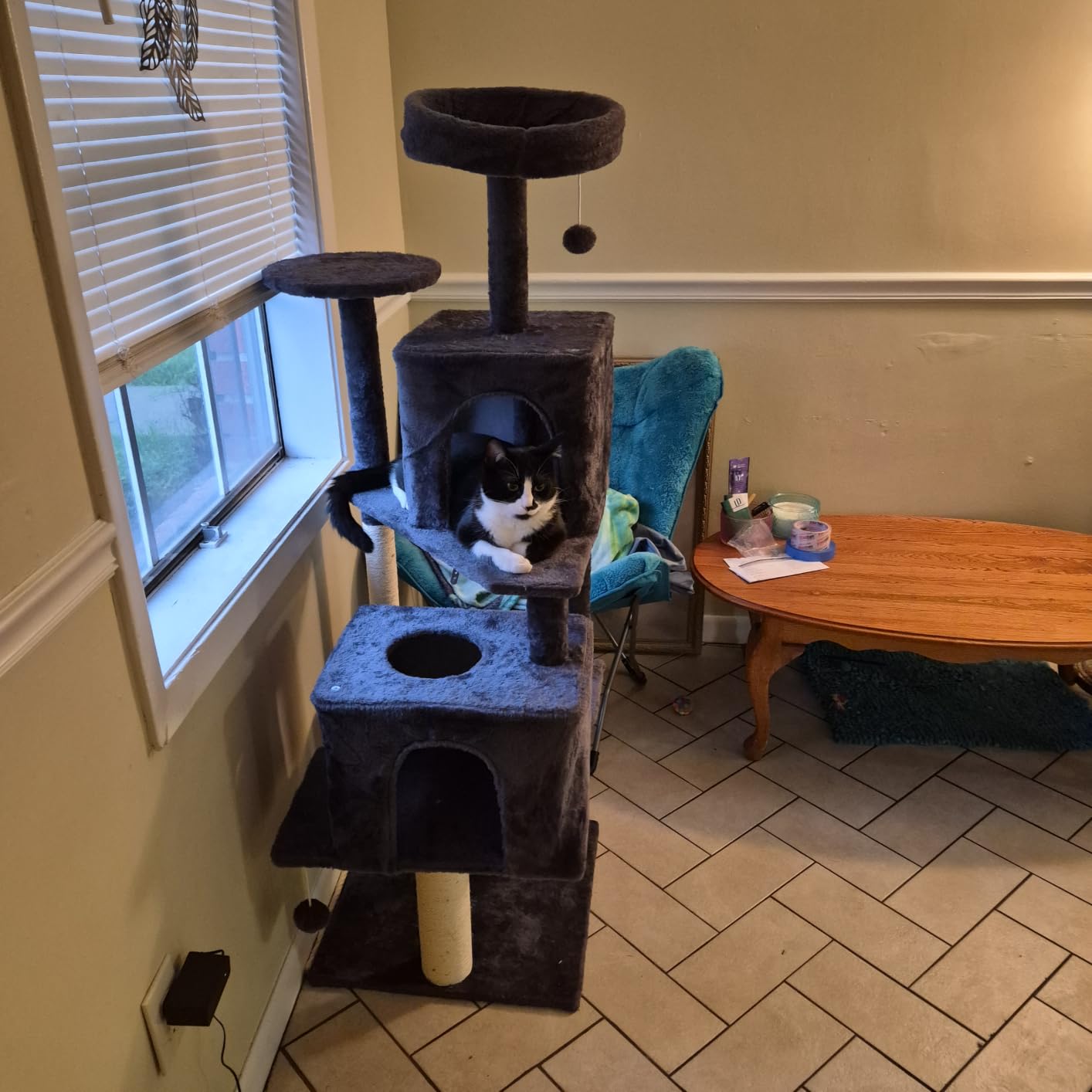 58.5inch Large Cat Tree Tower Condo for Indoor Cats, Soft Plush Multi-Level Climbing Tree Cat House with Cat Cave, Scratching Post, More Entrance/Exit, Sisal Rope, Grey Black customer photo 2