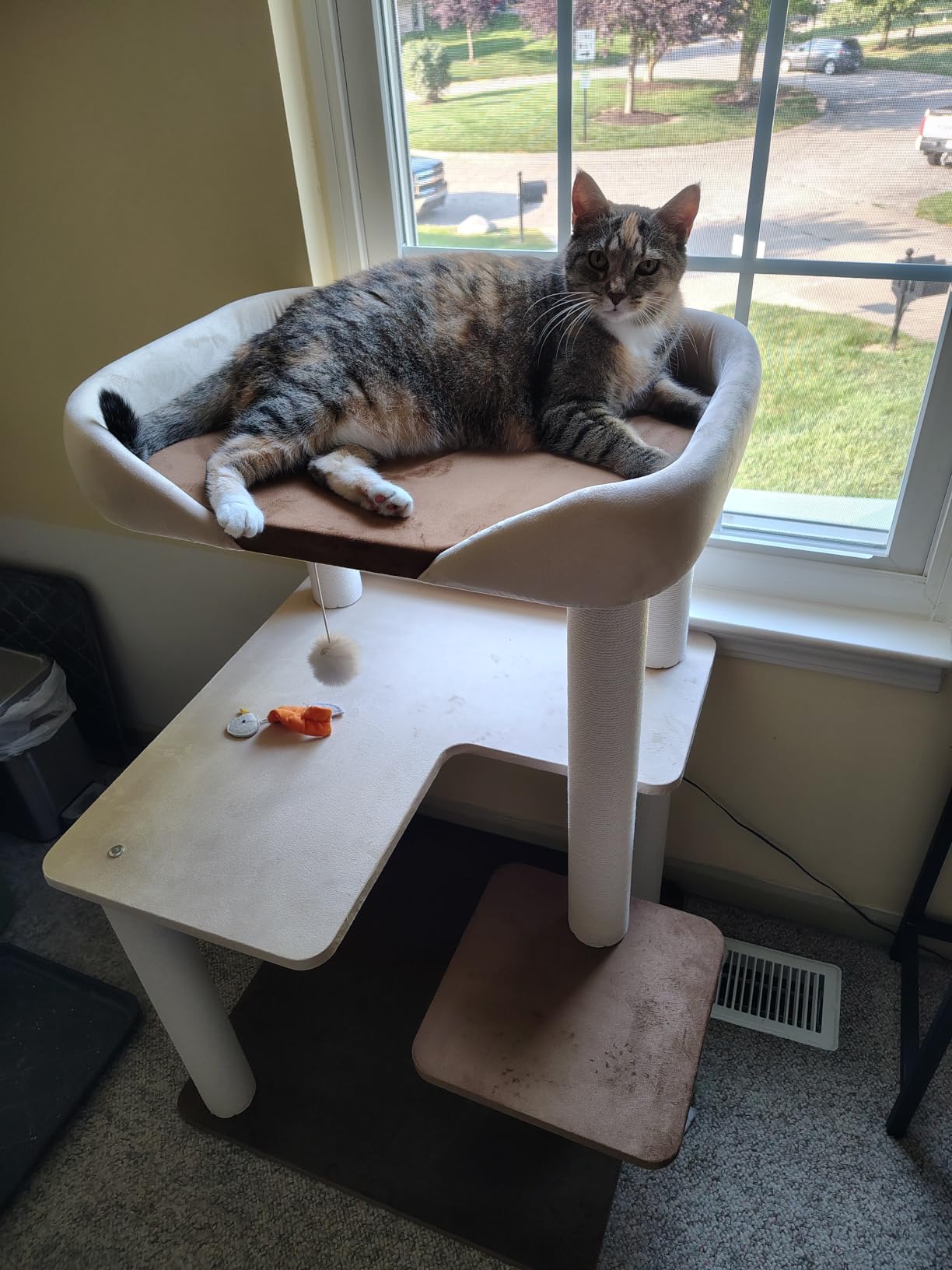 Cat Tree for Large Cats Modern Senior Friendly Wide Shelves 37.4'' customer photo 1