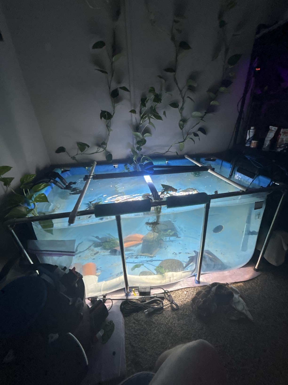 PVC Fish KOI Aquarium Tank w/ Clear View Panel(70.9