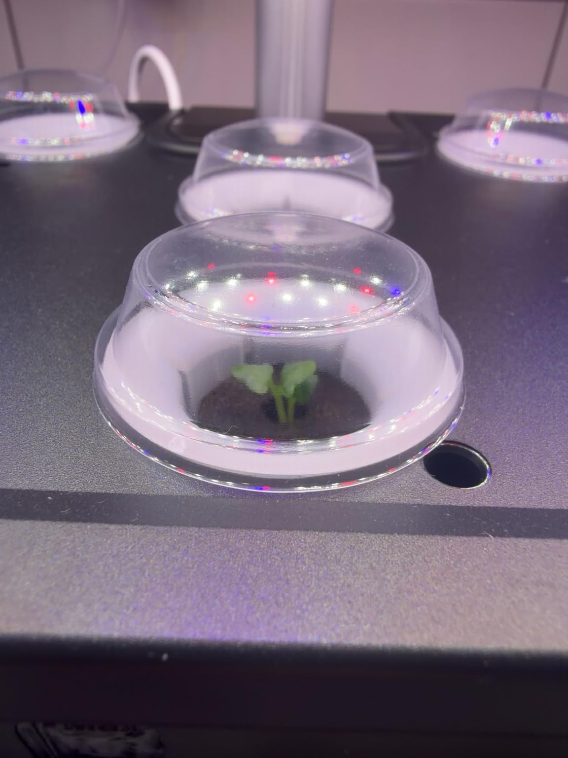 LETPOT LPH-Air 10-Pod Hydroponics Growing System Indoor Garden Kit customer photo 1