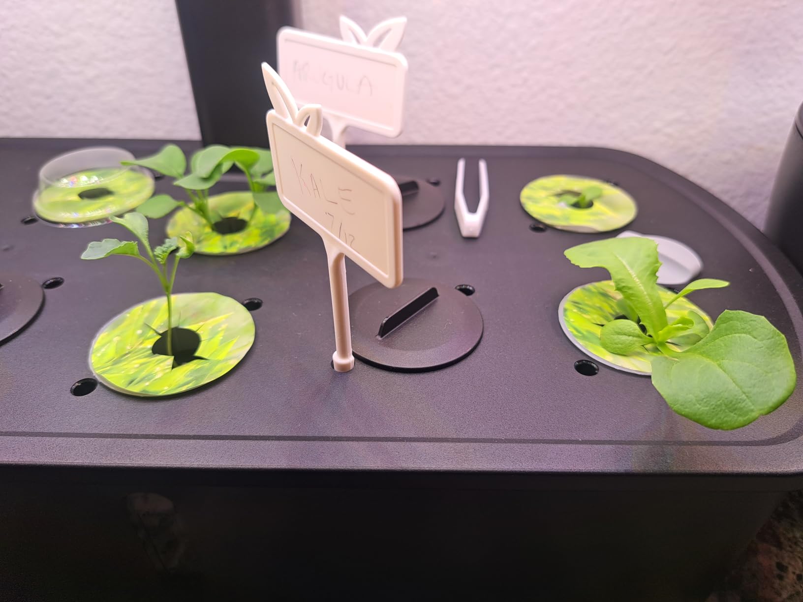 LETPOT LPH-Air 10-Pod Hydroponics Growing System Indoor Garden Kit customer photo 2