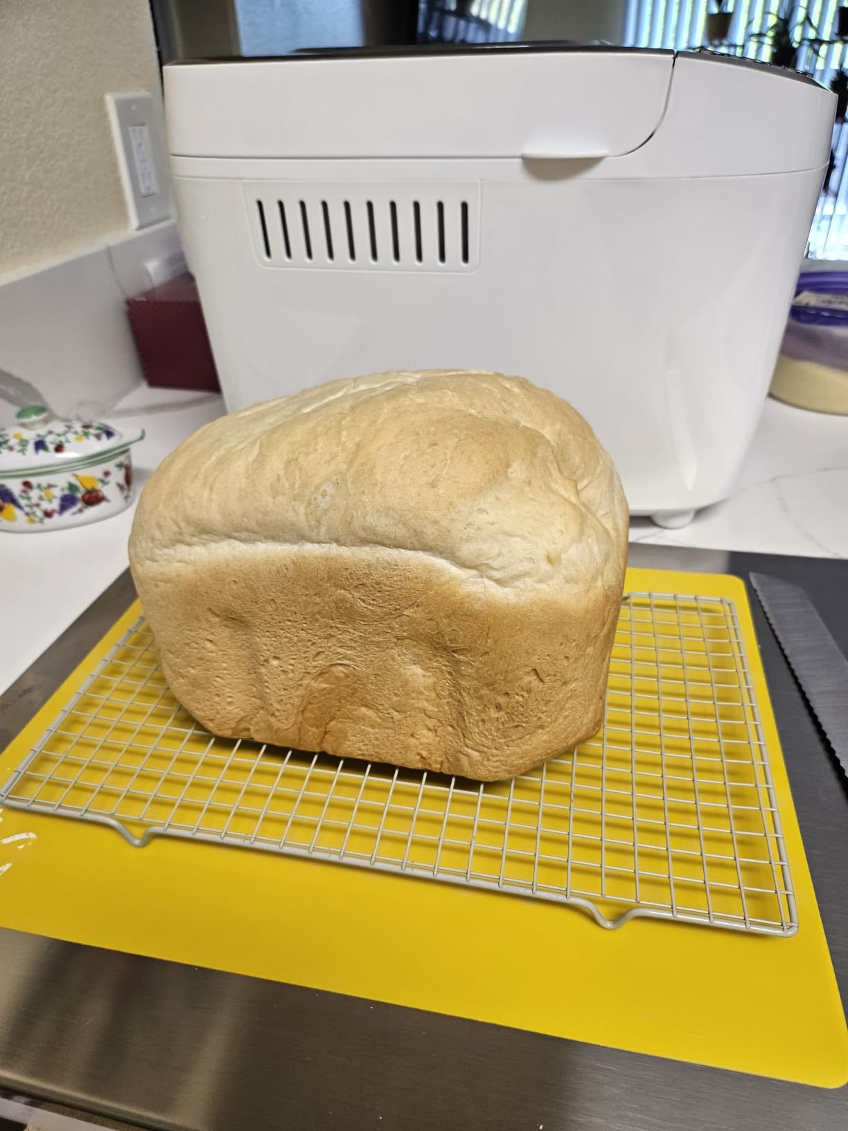 VEVOR Bread Maker, 19-in-1 2LB Dough Machine, Nonstick Ceramic Pan Automatic Breadmaker with Gluten Free Setting, Whole Wheat Bread Making, Digital, Programmable, 3 Loaf Sizes, 3 Crust Colors customer photo 2