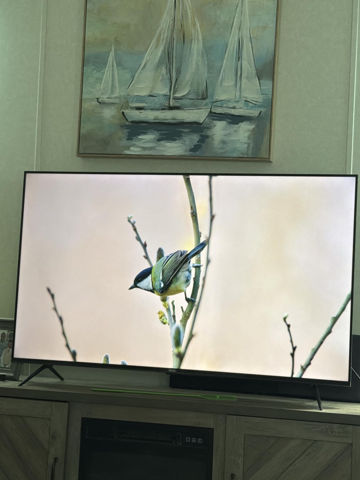 Roku 65-Inch Plus Series Smart TV - 4K QLED Mini-LED TV - RokuTV customer photo 2