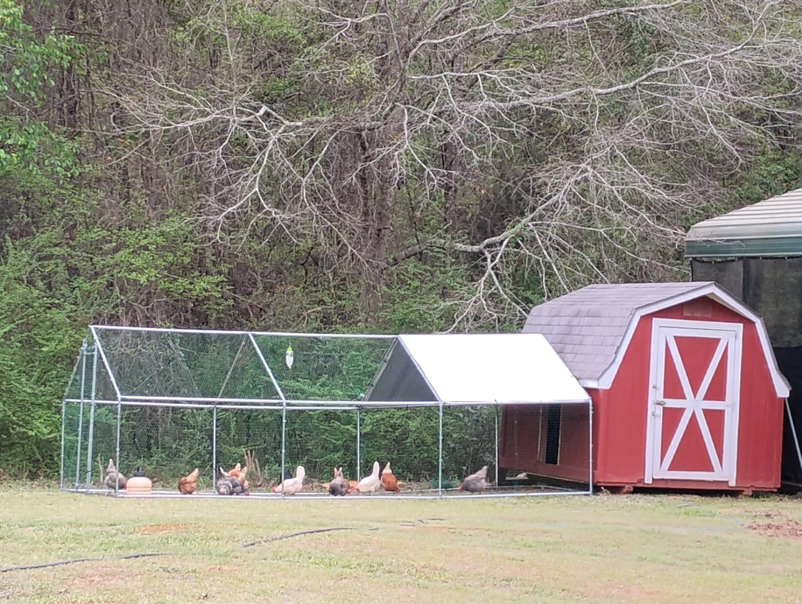 VEVOR Large Metal Chicken Coop with Run, 19.6 x 9.8 x 6.5 ft Walkin Chicken Coop for Yard with Waterproof Cover, Dome Roof Large Poultry Cage for Hen House, Duck Coop and Rabbit Run customer photo 1