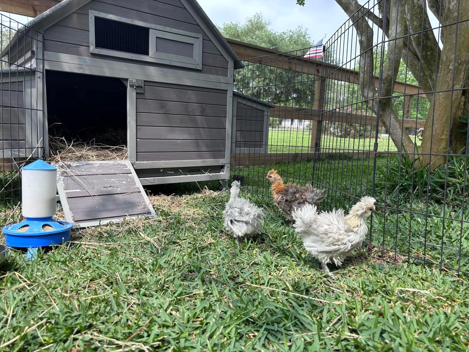 GUTINNEEN Large Chicken Coop on Wheels Mobile Wooden Hen House Weatherproof Duck Poultry Cage 67.3