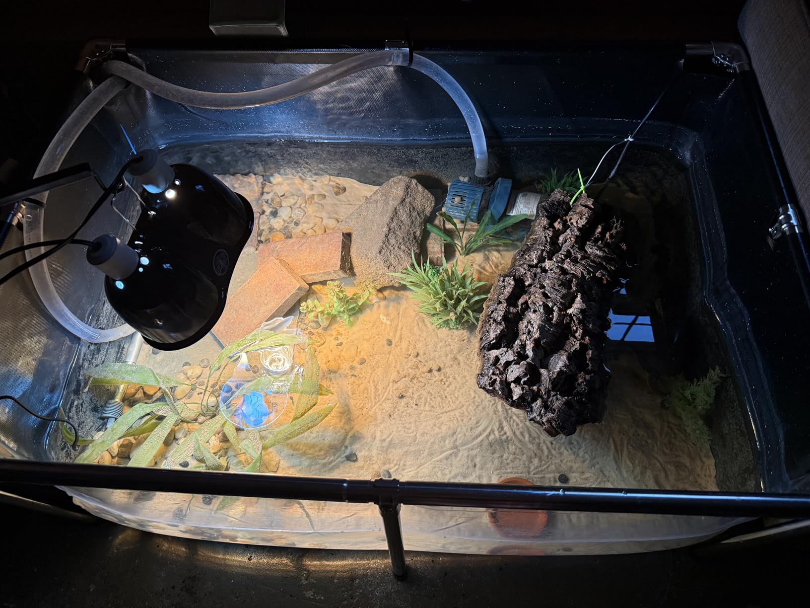 VEVOR KOI Aquarium Tank Above Ground Fish Pond, 127 Gallon Foldable Canvas Fish Pool Pond with Clear Viewing Panel, Outdoor/Indoor No Dig Turtle Goldfish Pond with 304SS Frame and Drain Valve customer photo 2