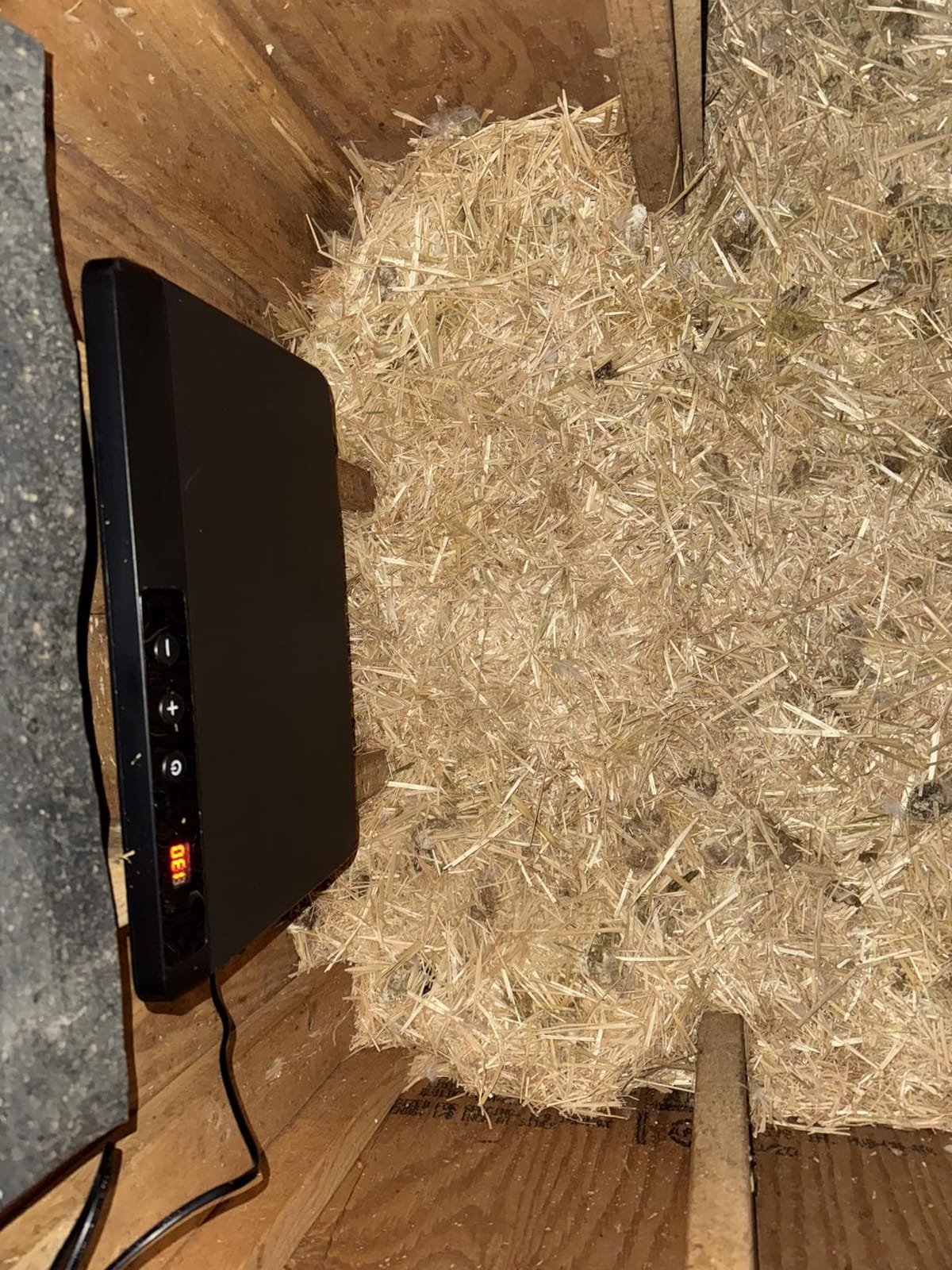 HOPOCO Smart Chicken Coop Heater with Efficient Thermostat, Compatible with Timers & Temp Controllers, 200W Safe Inside Radiant Flat Panel Warmer, Remote-Adjustable for Pets & Animals in Winter customer photo 2