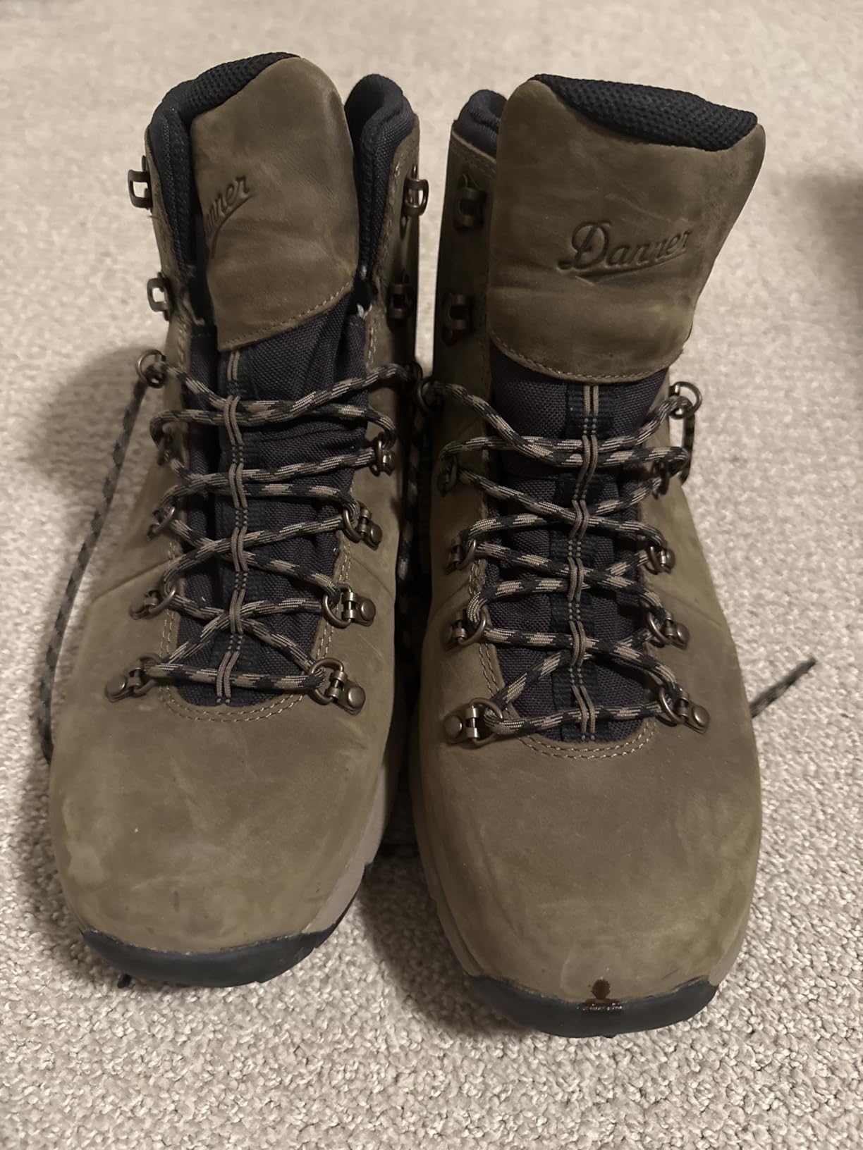 Danner Men's Mountain 600 4.5