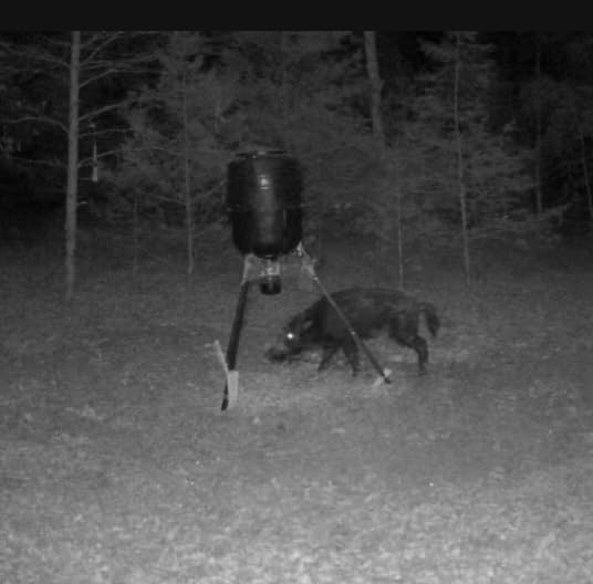 Moultrie Deer Feeder Connected 250 Lb Tripod customer photo 1