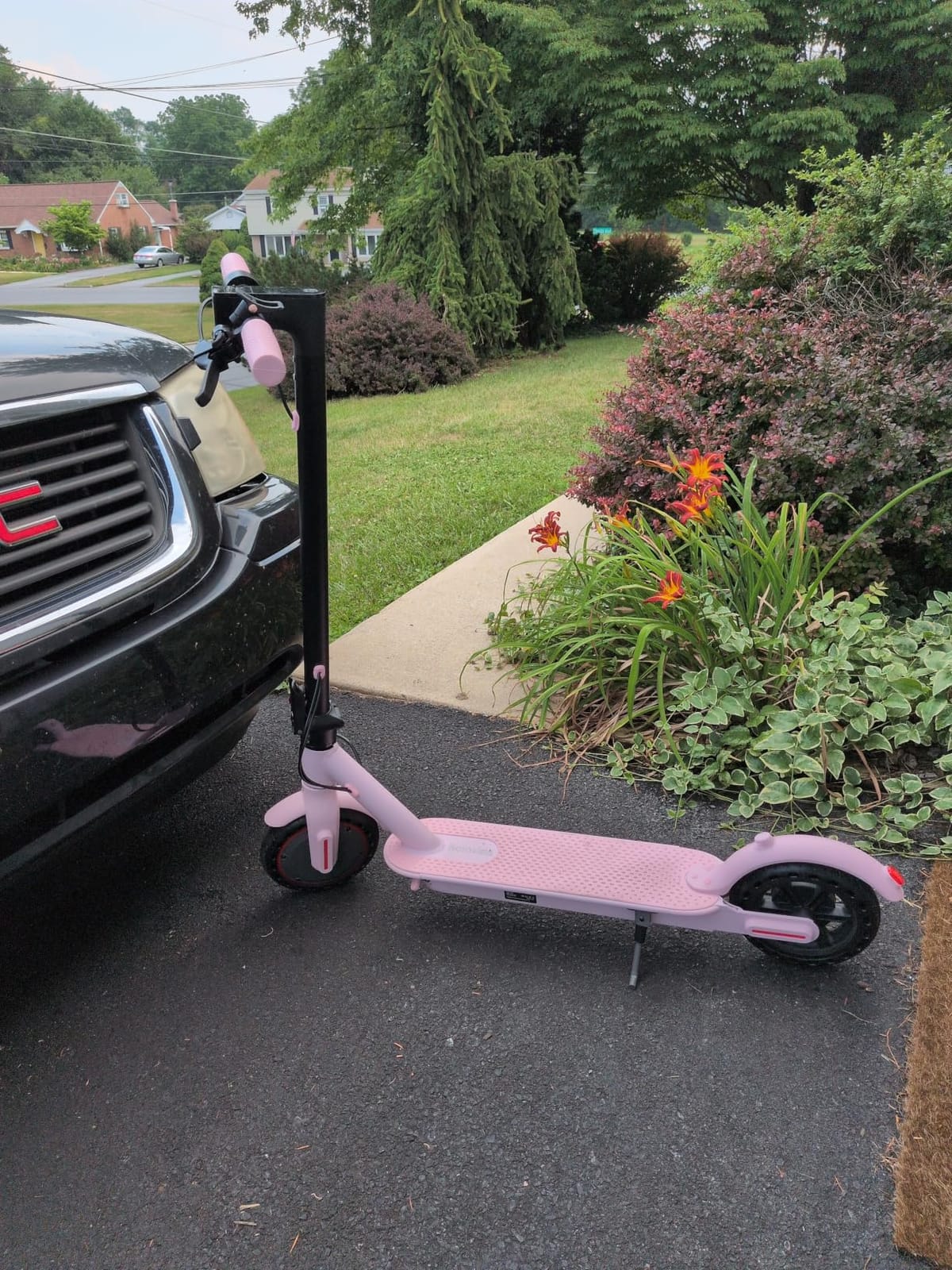 Electric Scooter - 350W/500W Motor, 8.5