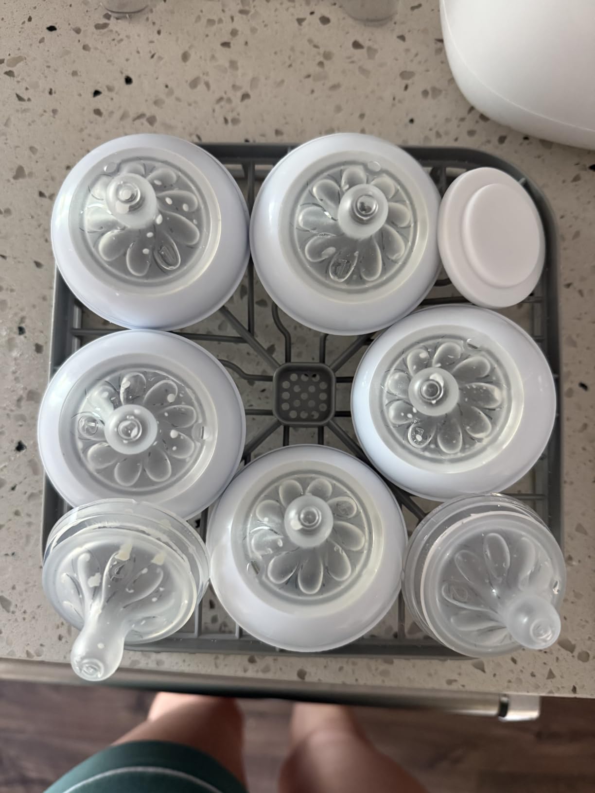 Bear Baby Bottle Washer Sterilizer Dryer All-in-One, 90 Detergent Tablets customer photo 2