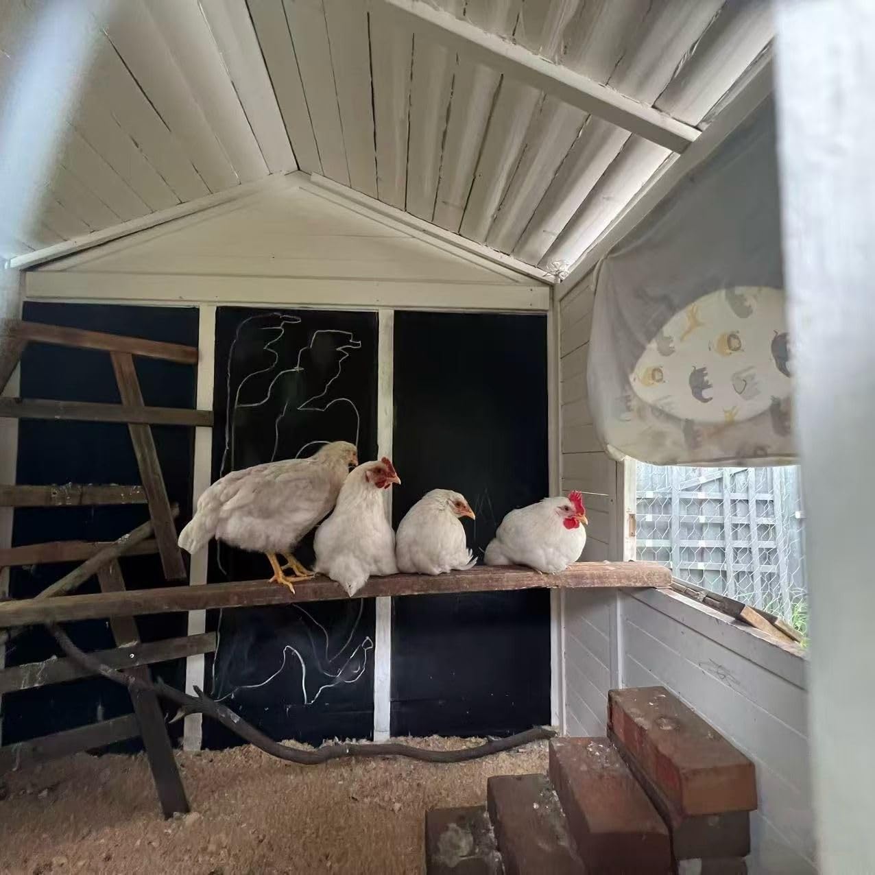 Smart Chicken Coop Heater, 200W Radiant Heat Panel, Adjustable Temp & Timer customer photo 2