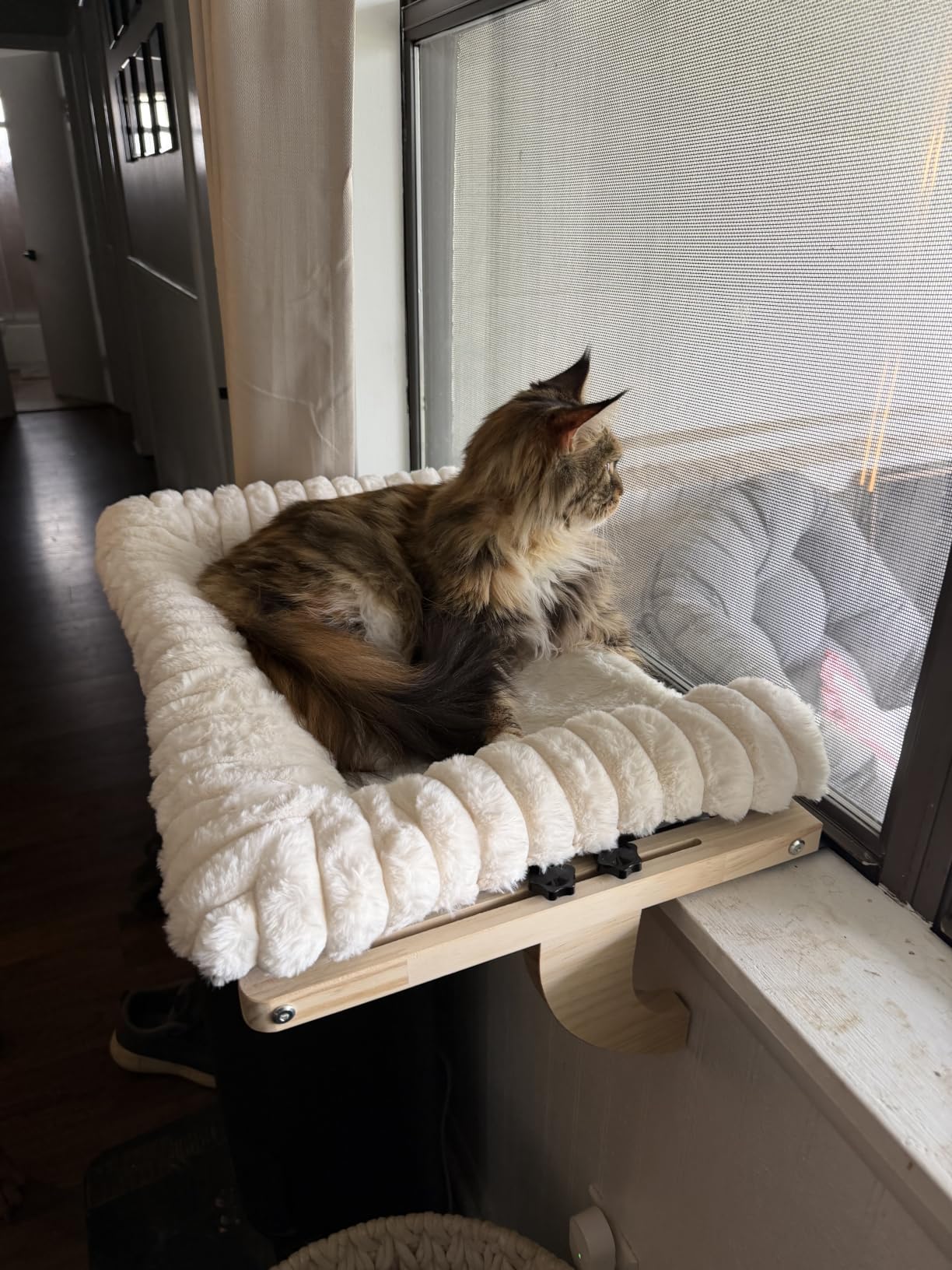 Cloud-Soft Cat Window Sill Perch, Zipper Design Cushion Pet Bed, M customer photo 1