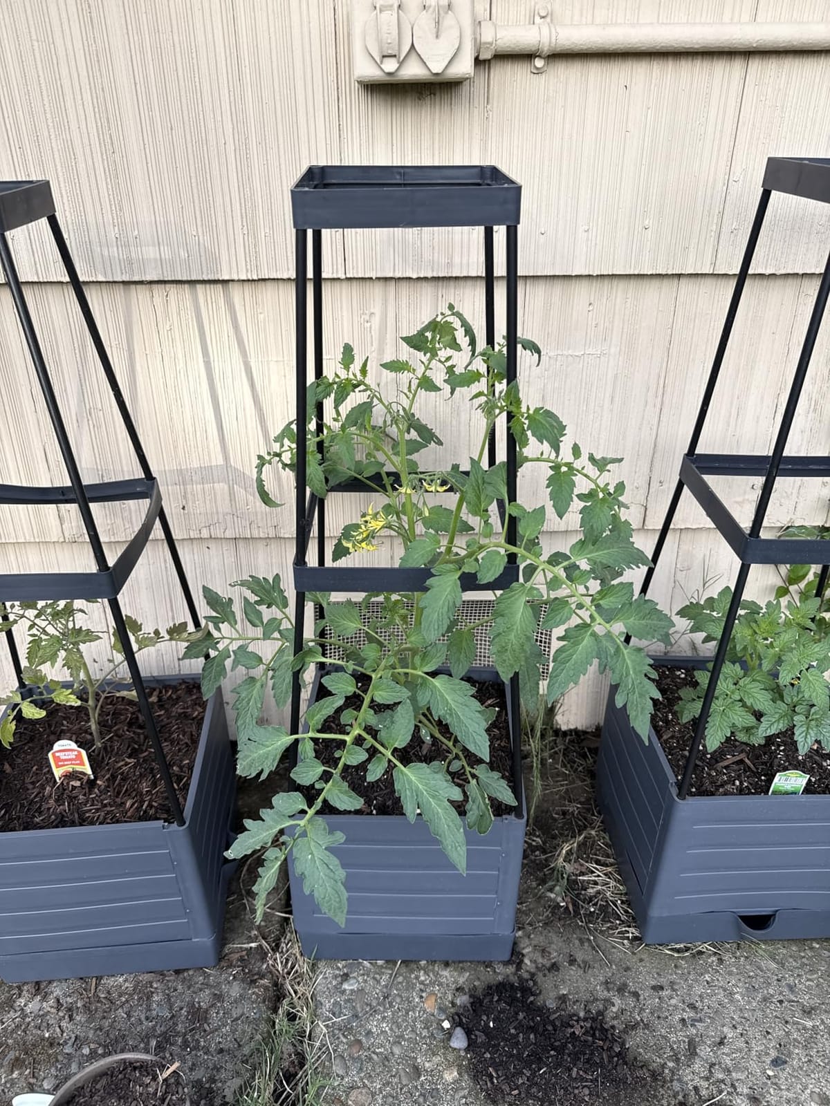 MQFORU Tomato Planter Boxes with Trellis Outdoor, 57