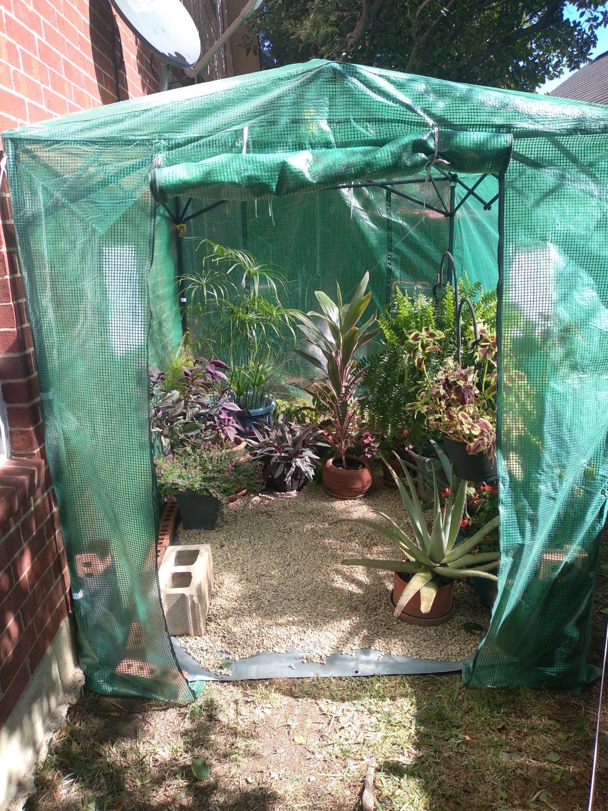 CROWN SHADES 12X8 Pop Up Outdoor Walk-in Portable Greenhouse,Green customer photo 1