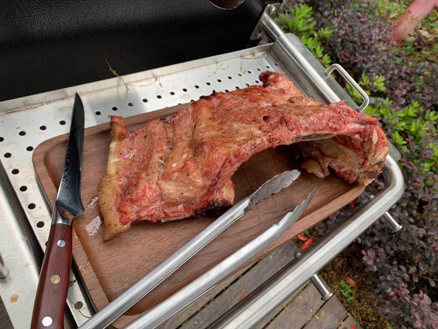 ASMOKE Portable Wood Pellet Grill & Smoker Guga's Pick, Smart Wi-Fi Control, 8-in-1 BBQ, 271 sq.in, Meat Probes, ASCA Steam Tech customer photo 2