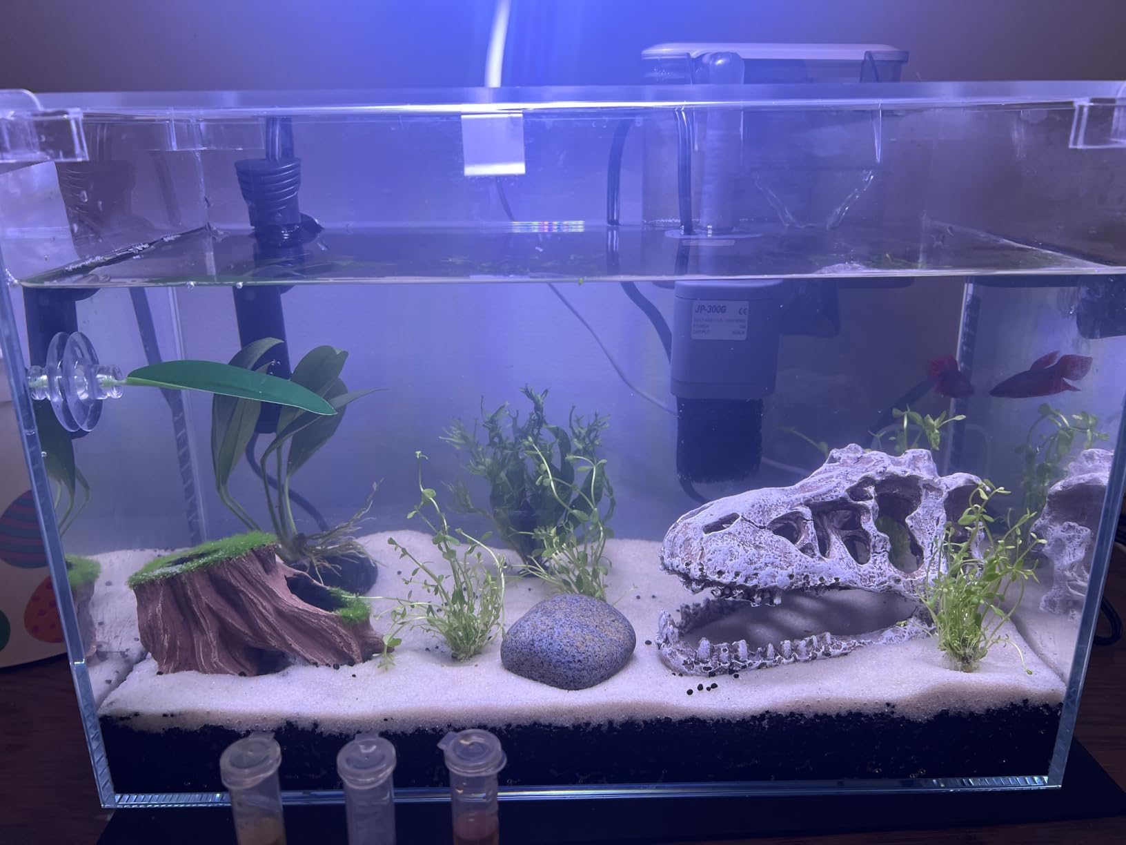 Vimvins 20 Gallon Glass Fish Tank customer photo 1