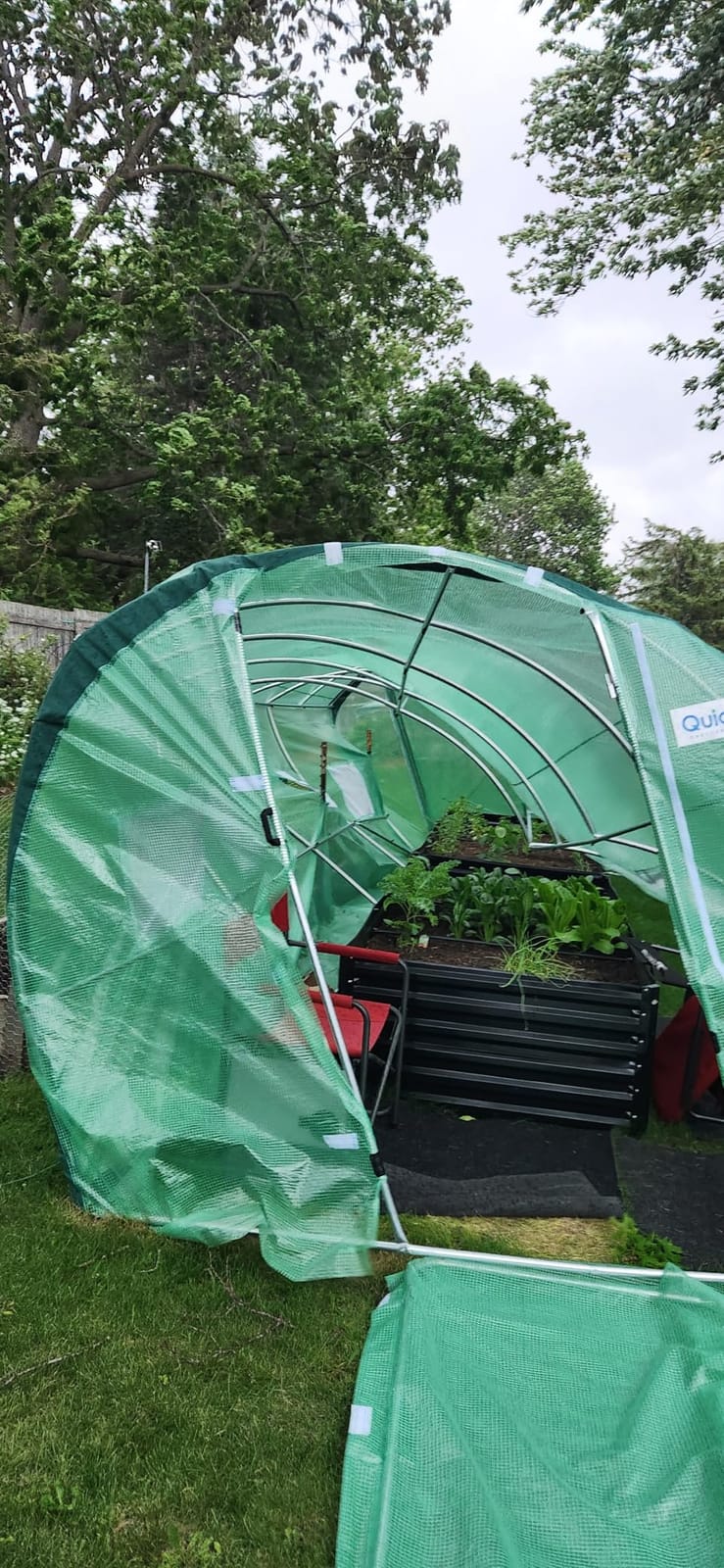 Quictent 20x10x6.6 FT Premium Greenhouse for Outdoors with 2 Door Frames customer photo 2