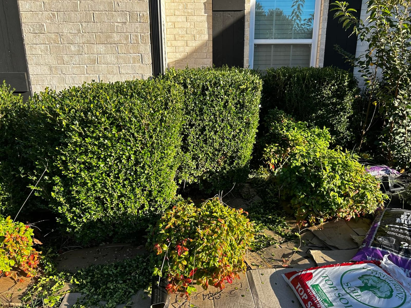 EWORK 700 CFM Cordless Electric Leaf Blower with Battery and Fast Charger customer photo 1