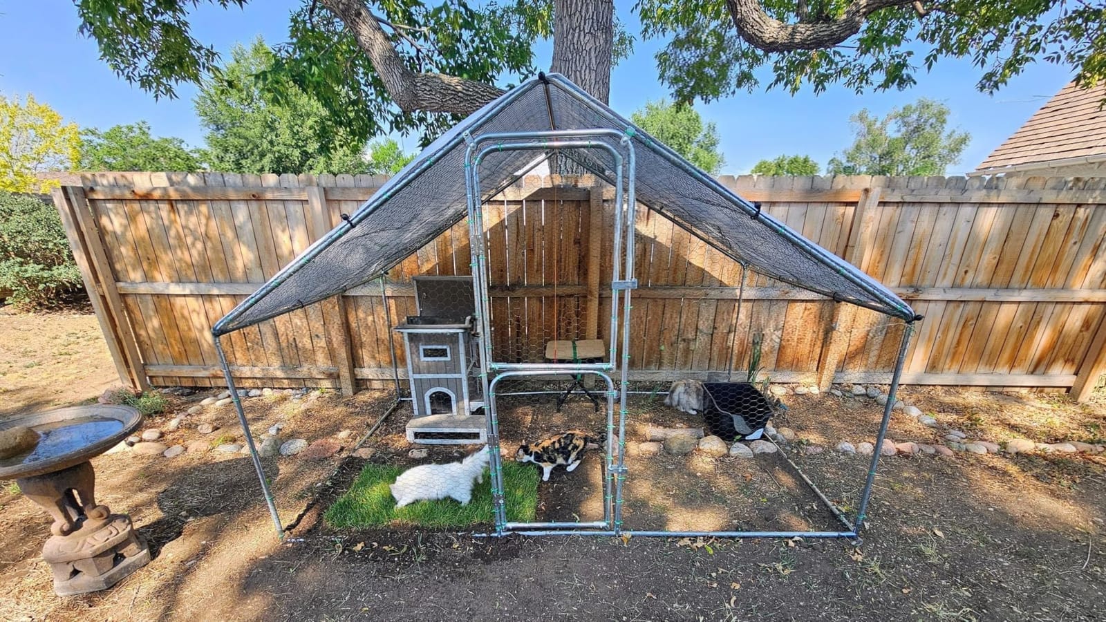 UDPATIO Large Metal Chicken Coop Walk in Run House Pen Galvanized Frame customer photo 1
