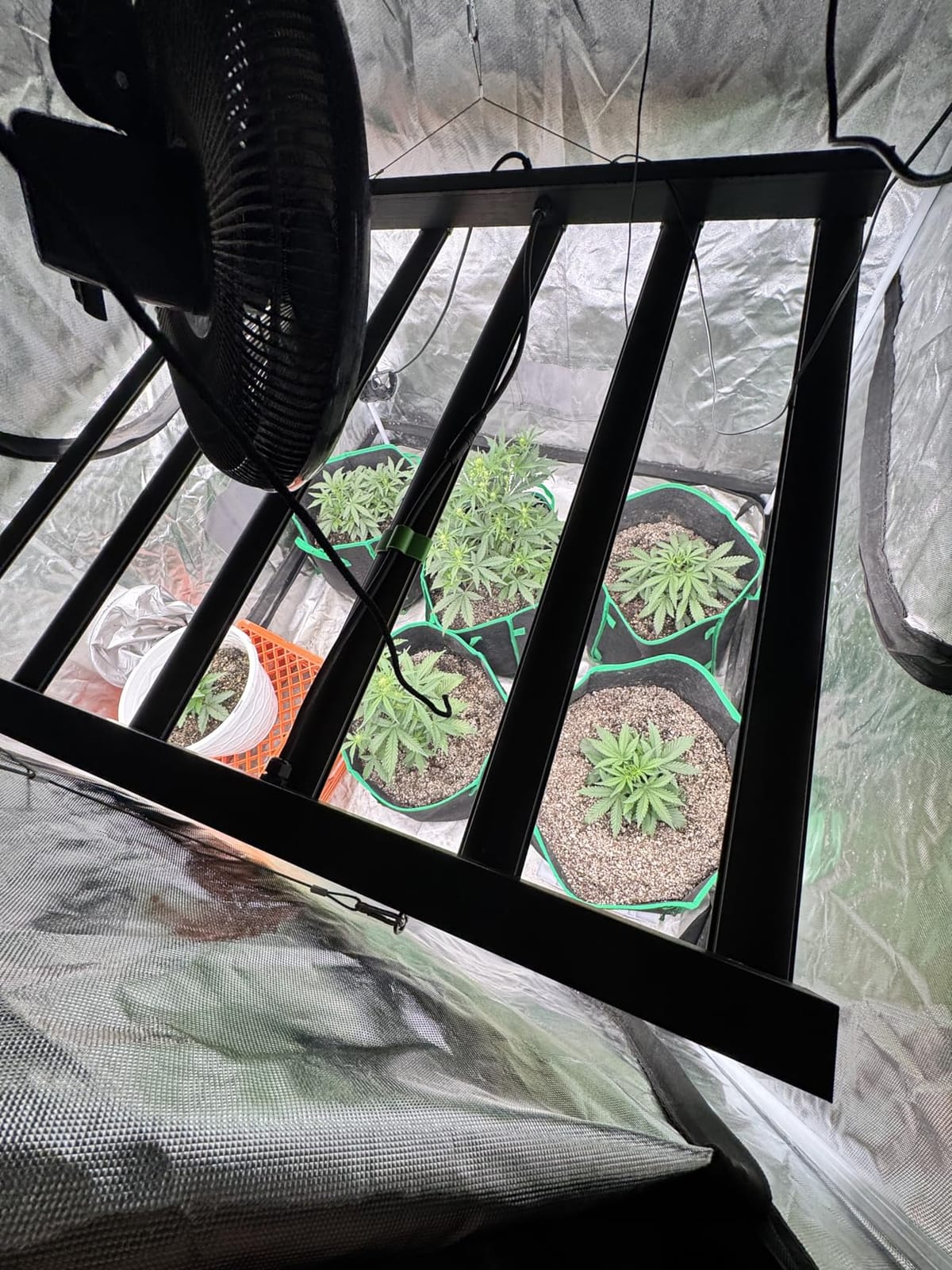 VIVOSUN AeroLight 850W LED Grow Light, Indoor Plant Light Bars with Fan customer photo 2