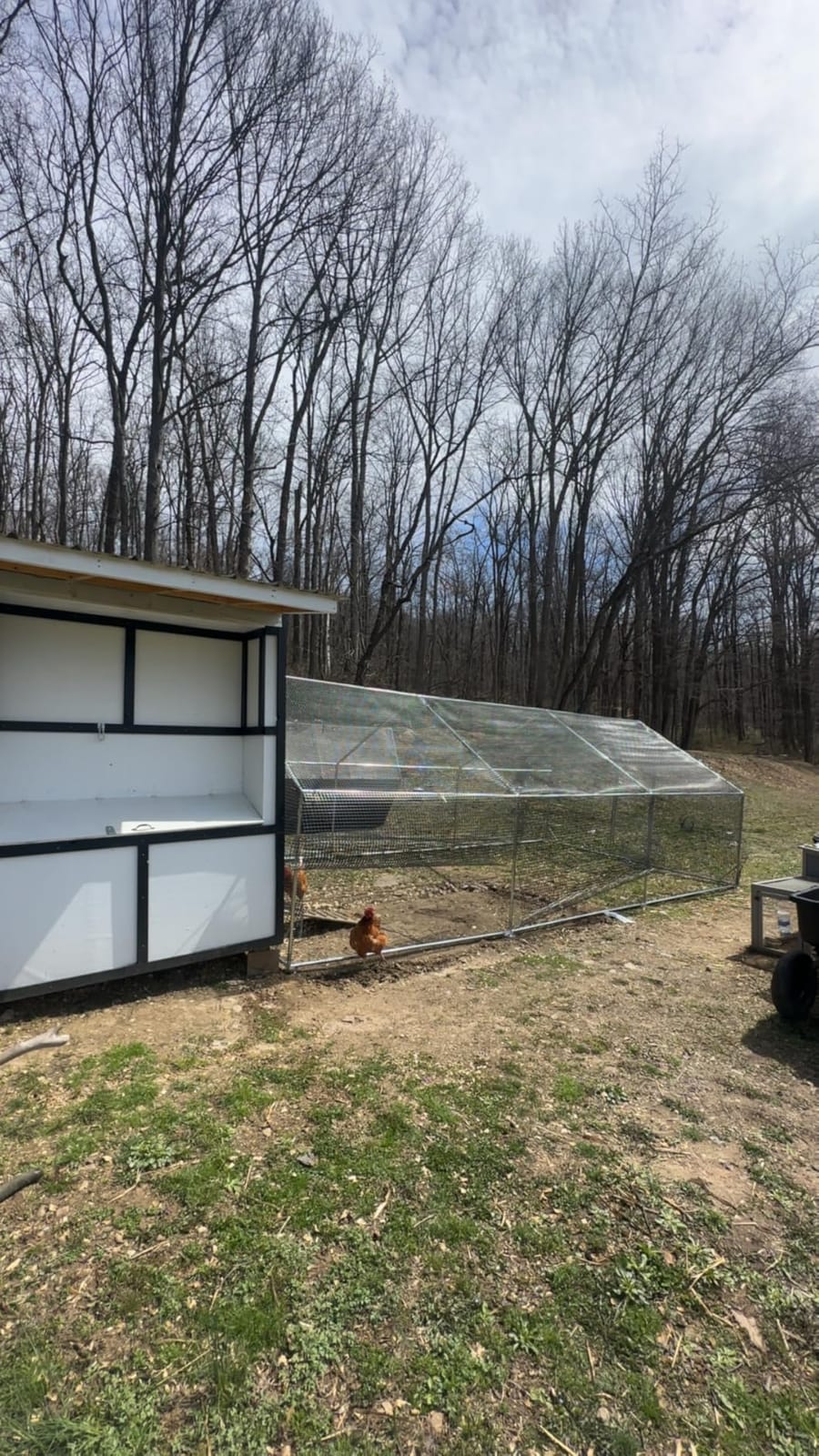 CAMMOO Walk in Chicken Coop, 19.7x9.8x6.6ft Chicken Run for Yard with Cover customer photo 2