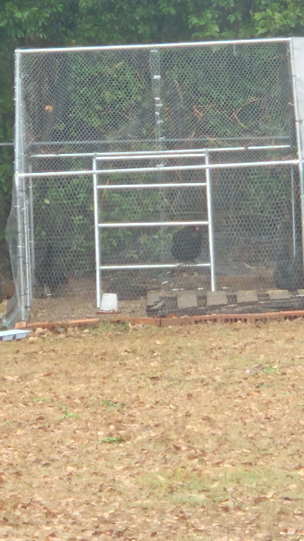 Quictent 18x9x6.6ft Large Metal Chicken Coop Run with Hardware Cloth customer photo 2