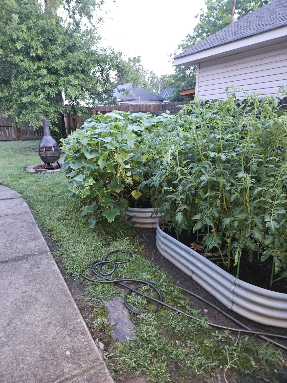 Land Guard 2 Pack 4×2×1ft Galvanized Raised Garden Bed Outdoor, Heavy Duty Bottomless Metal Raised Planter Box for Vegetables, Flowers, Herbs, Backyard Patio Gardening, Silver customer photo 1