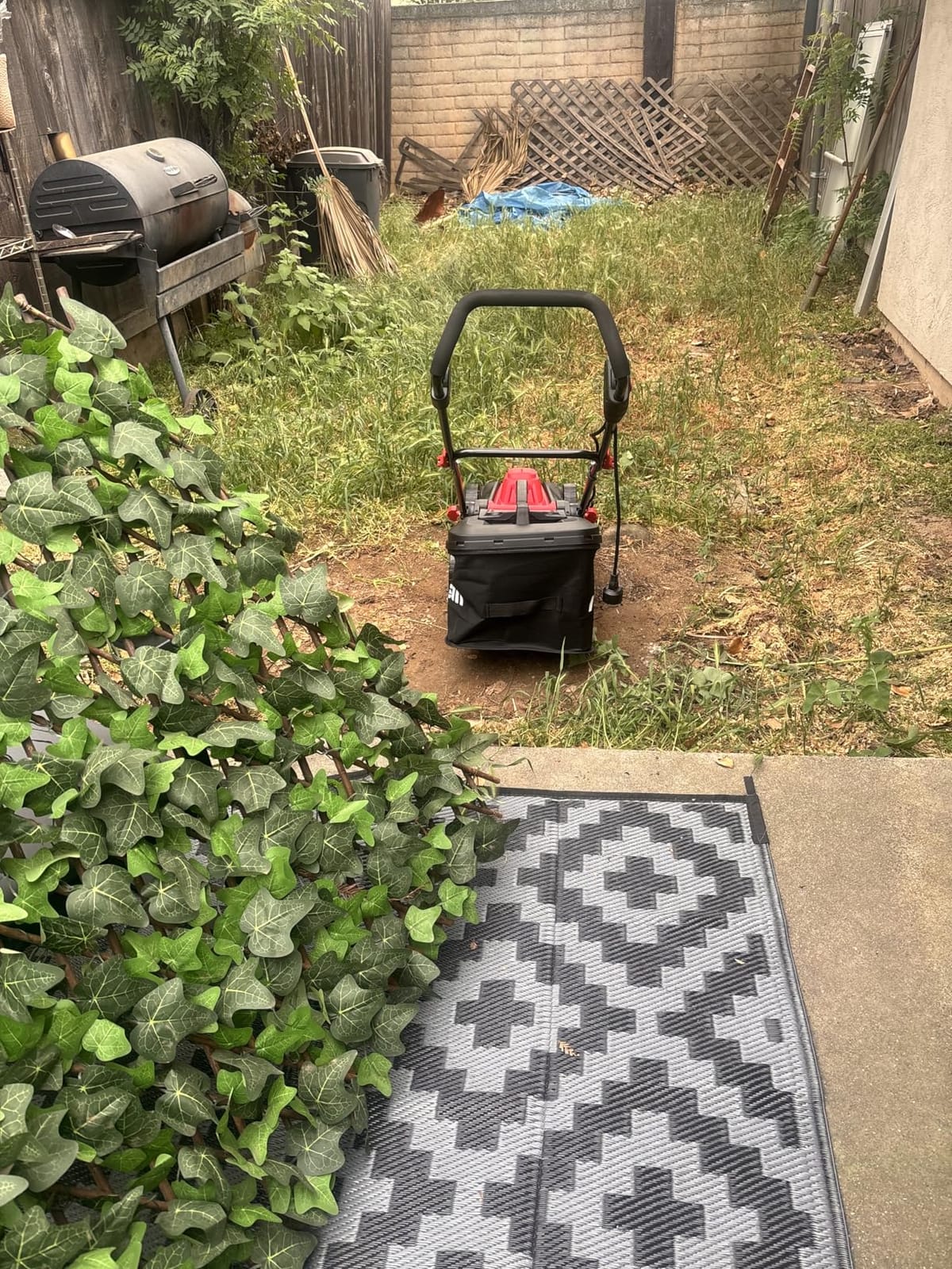 AMERISUN 21-Inch Gas Lawn Mower Self Propelled with 170cc OHV Engine customer photo 1