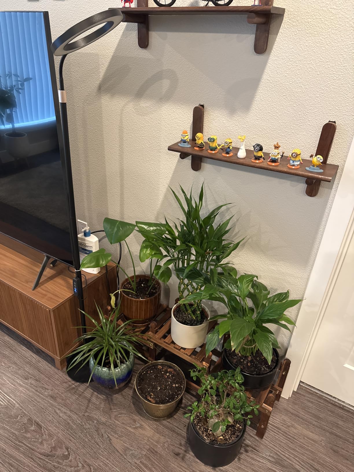 LBW 3-Head Grow Light with Stand for Indoor Plants, Full Spectrum Grow Light for Tall Large Plants, Adjustable Height up to 68