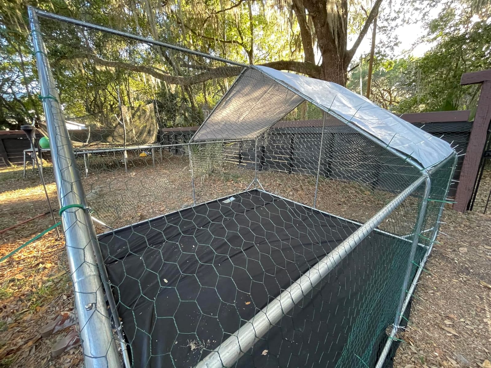 Walk-in Chicken Coop 234